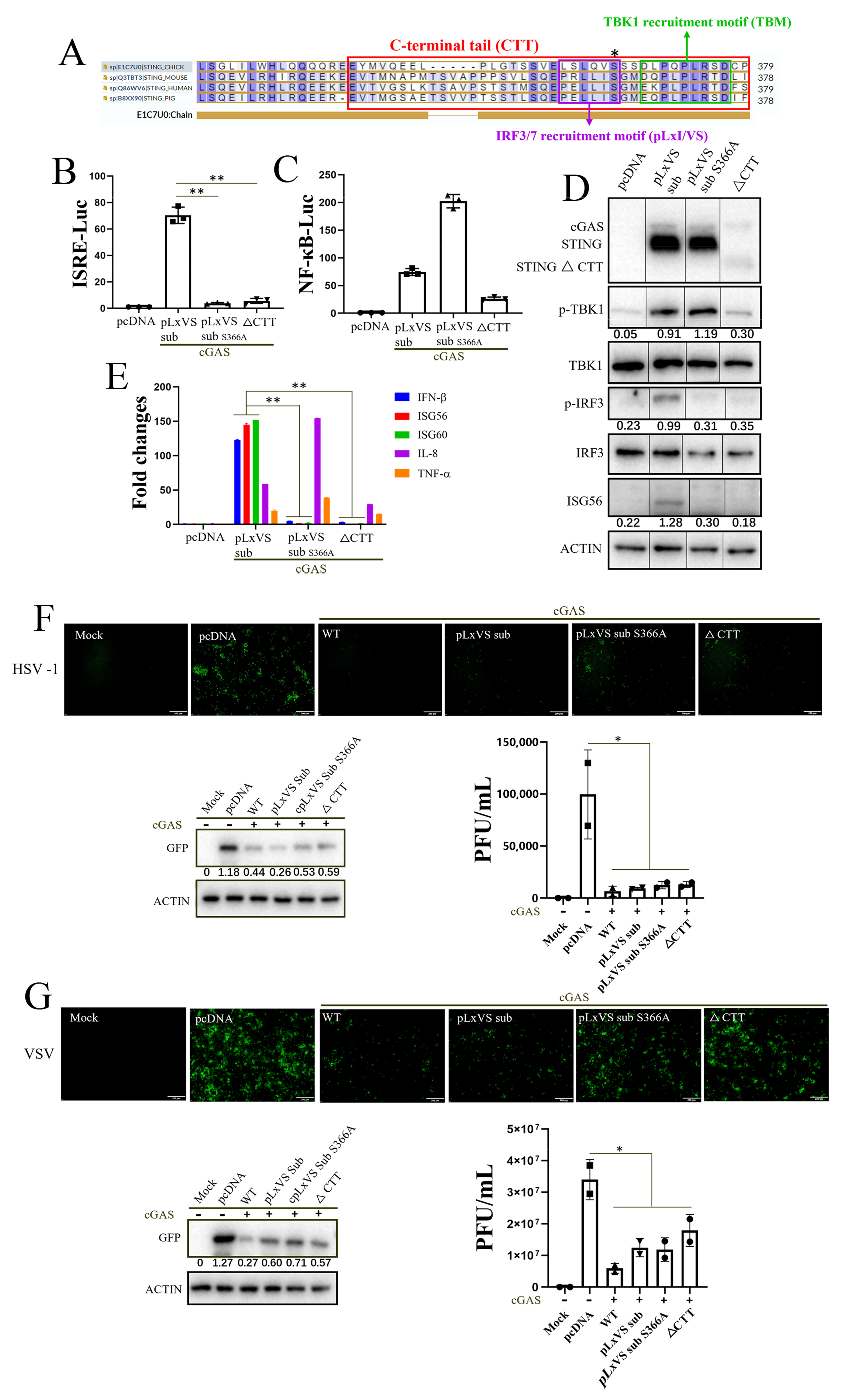 Animals 13 02573 g002