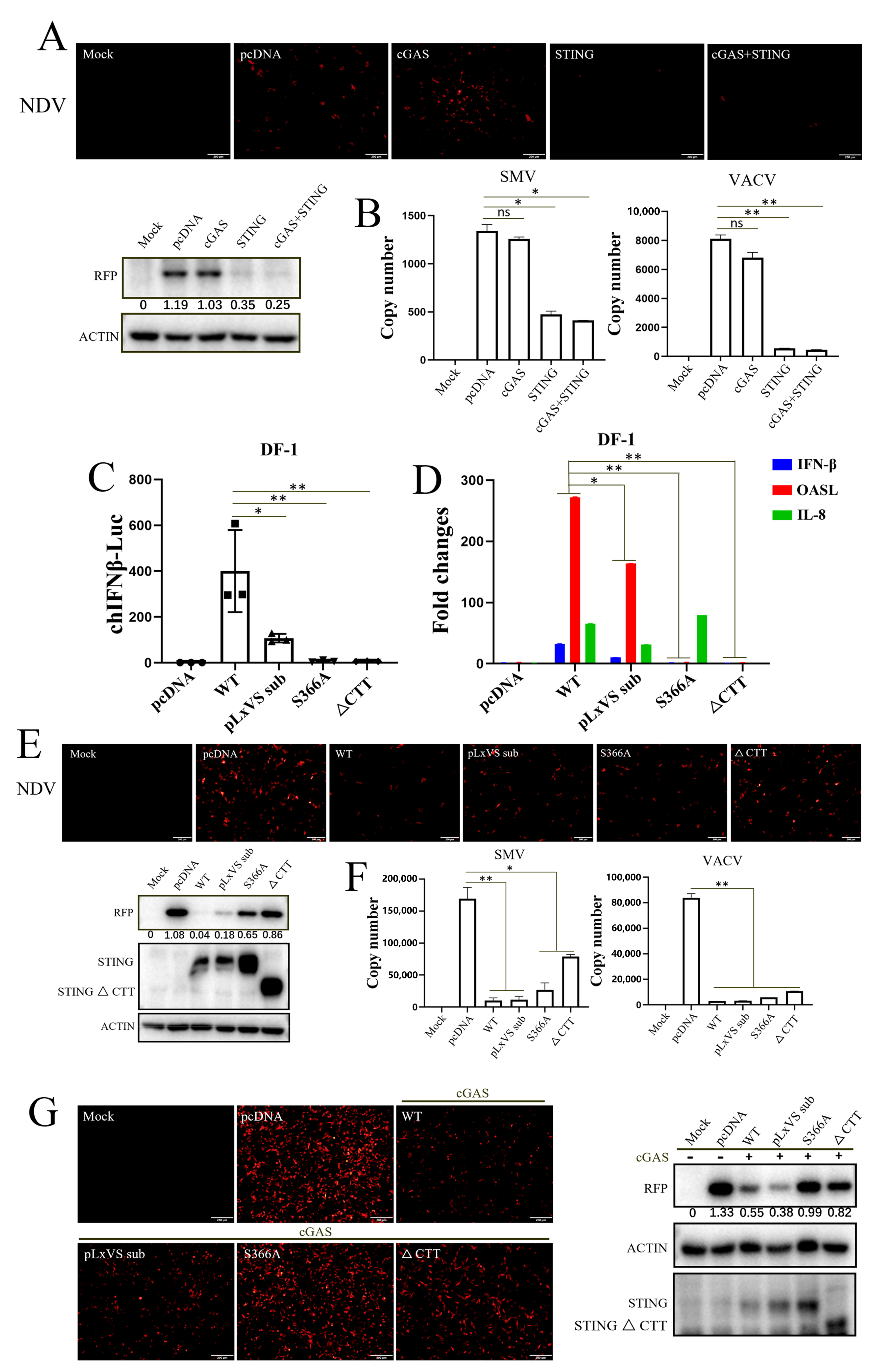 Animals 13 02573 g003