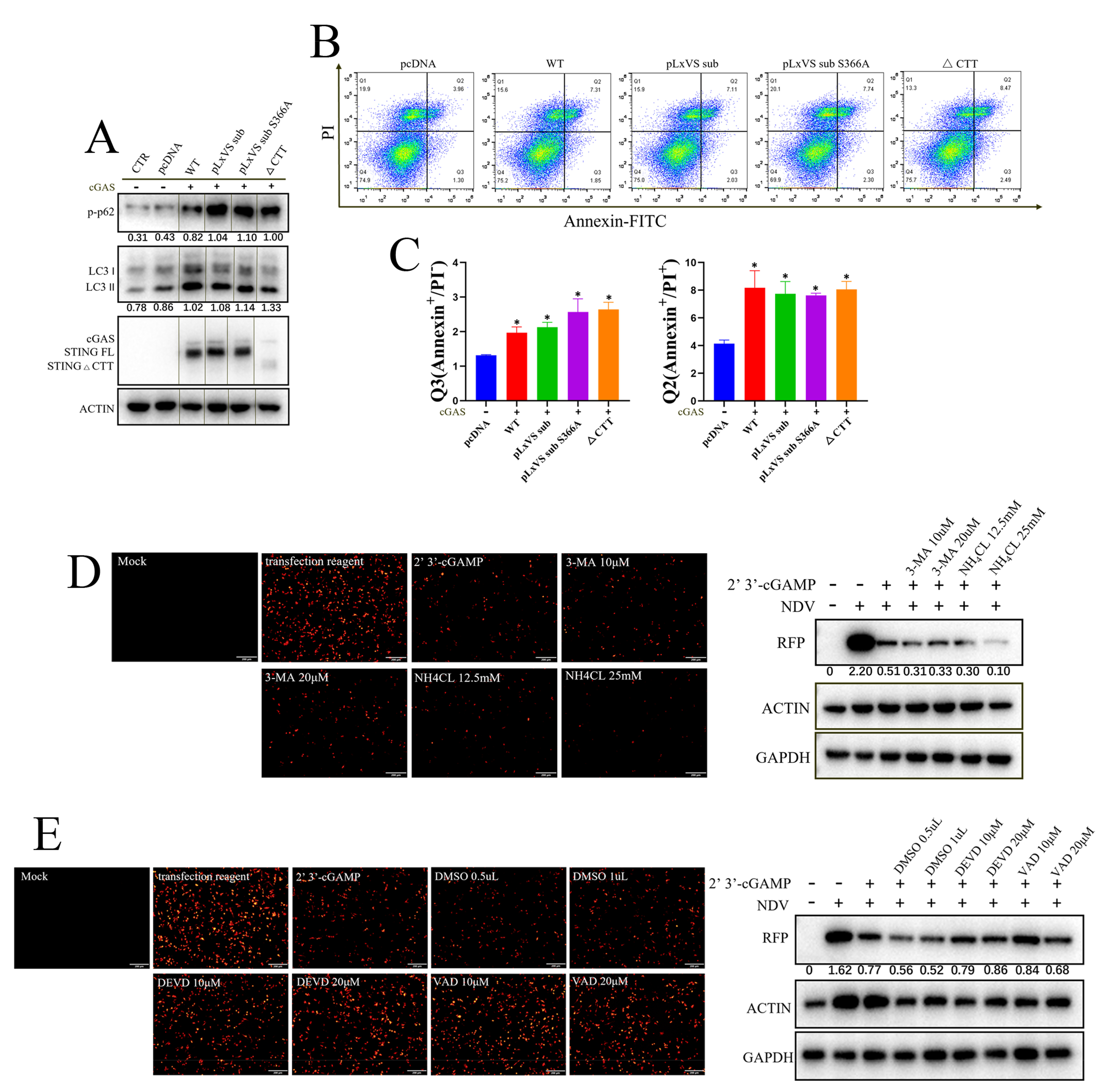 Animals 13 02573 g004