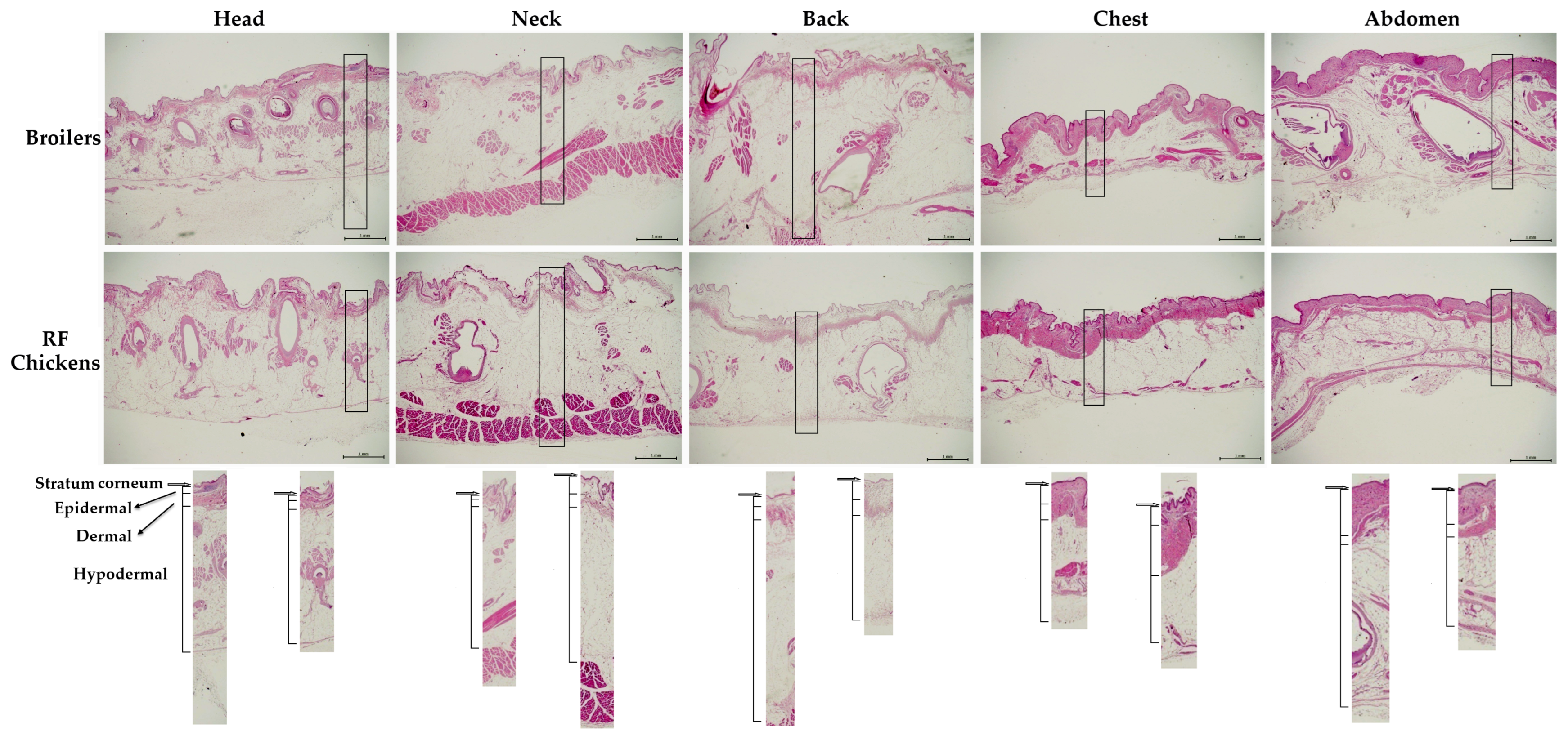 Animals 13 02584 g002