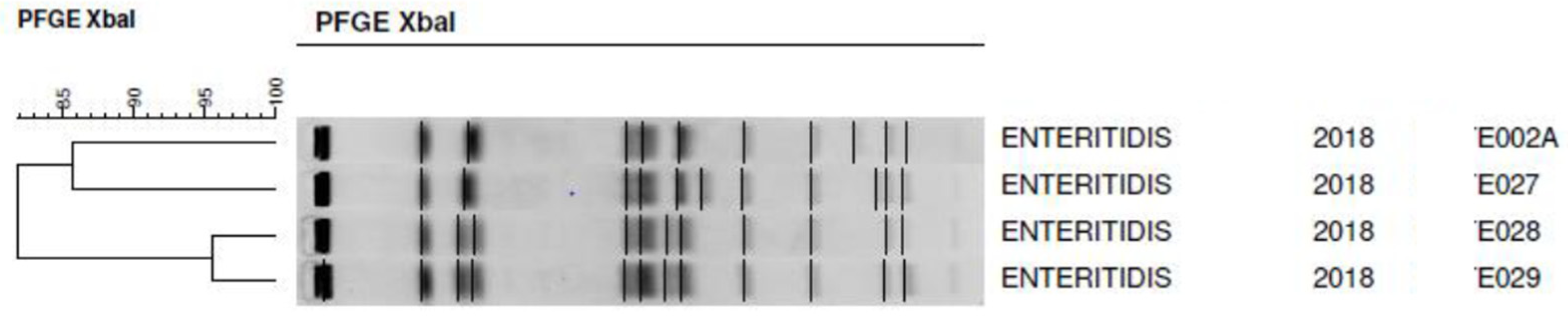 Animals 13 02588 g003 Animals 13 02588 g003