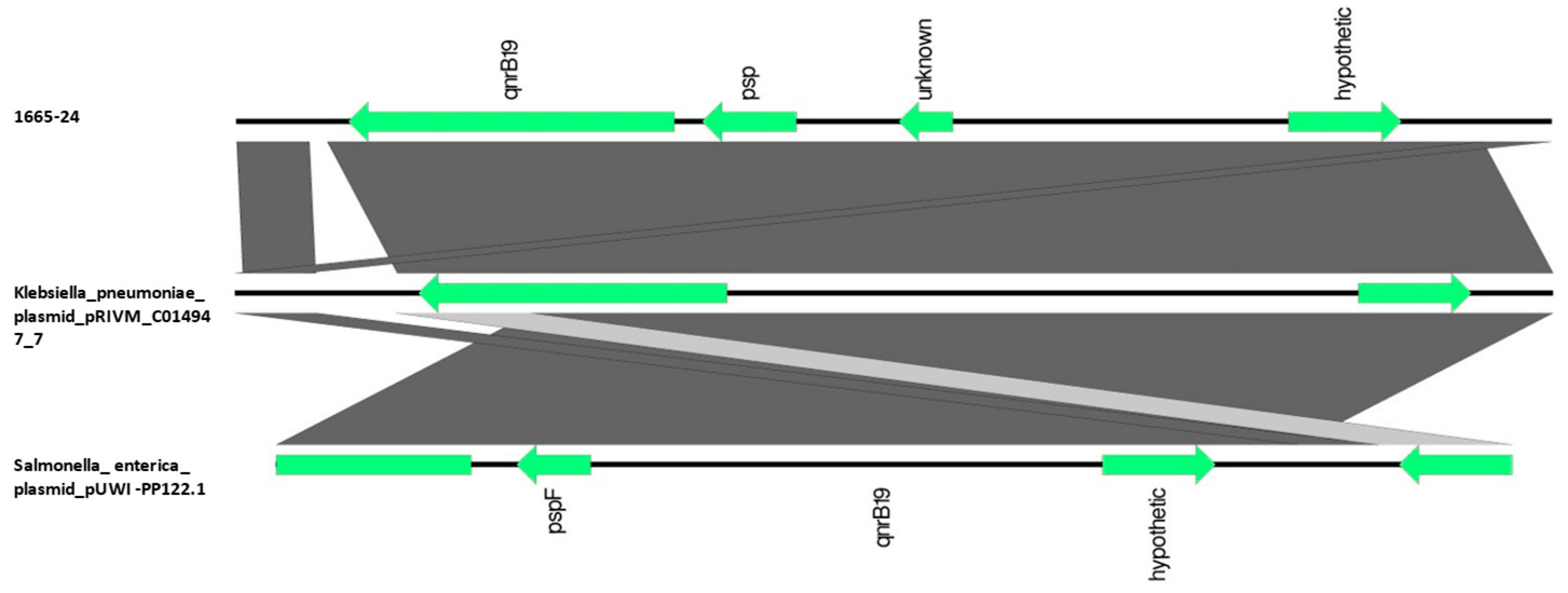 Animals 13 02590 g006