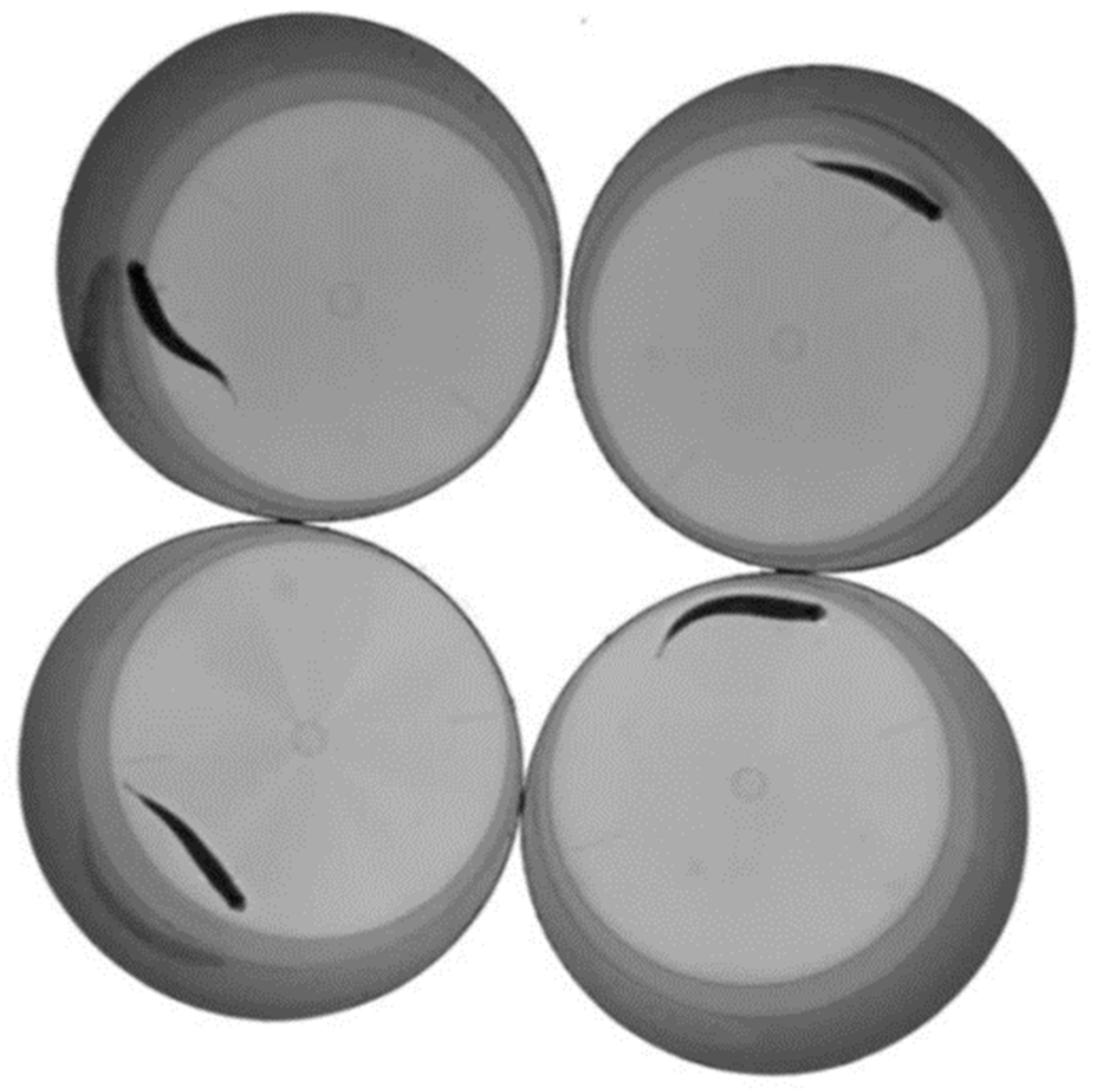 Animals 13 02591 g001 Animals 13 02591 g001