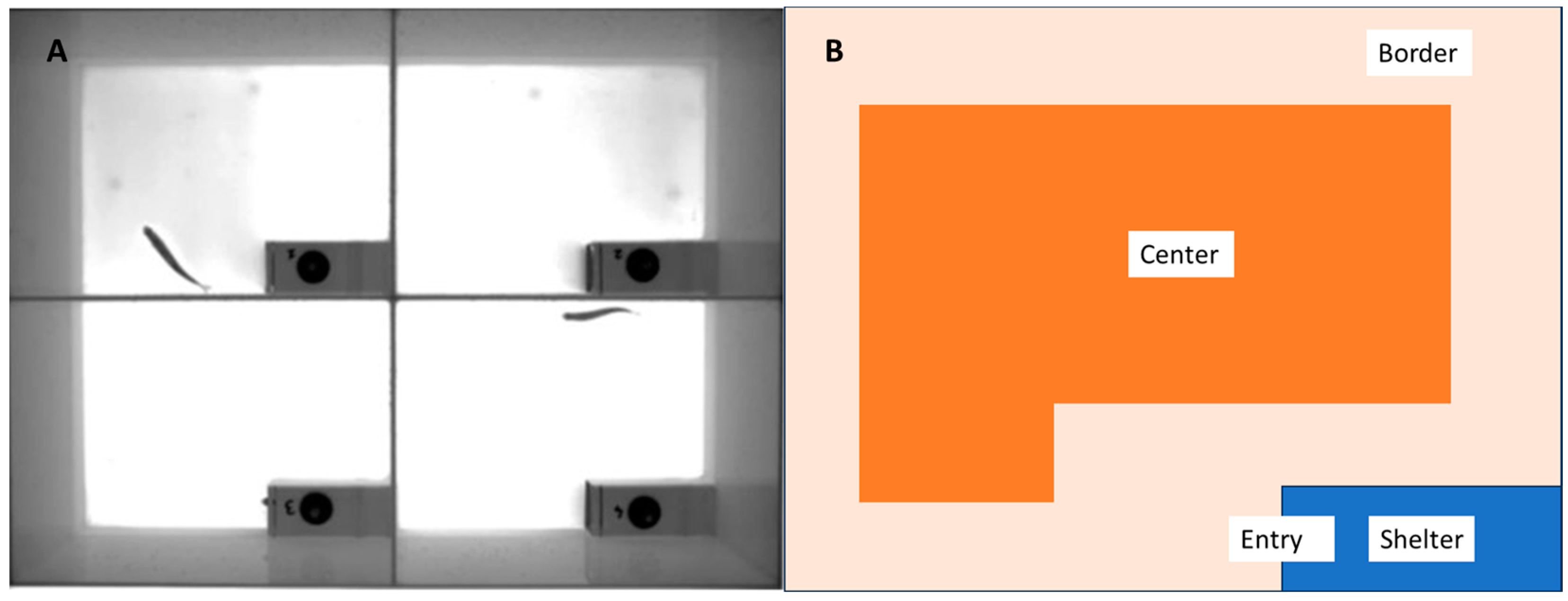 Animals 13 02591 g002 Animals 13 02591 g002