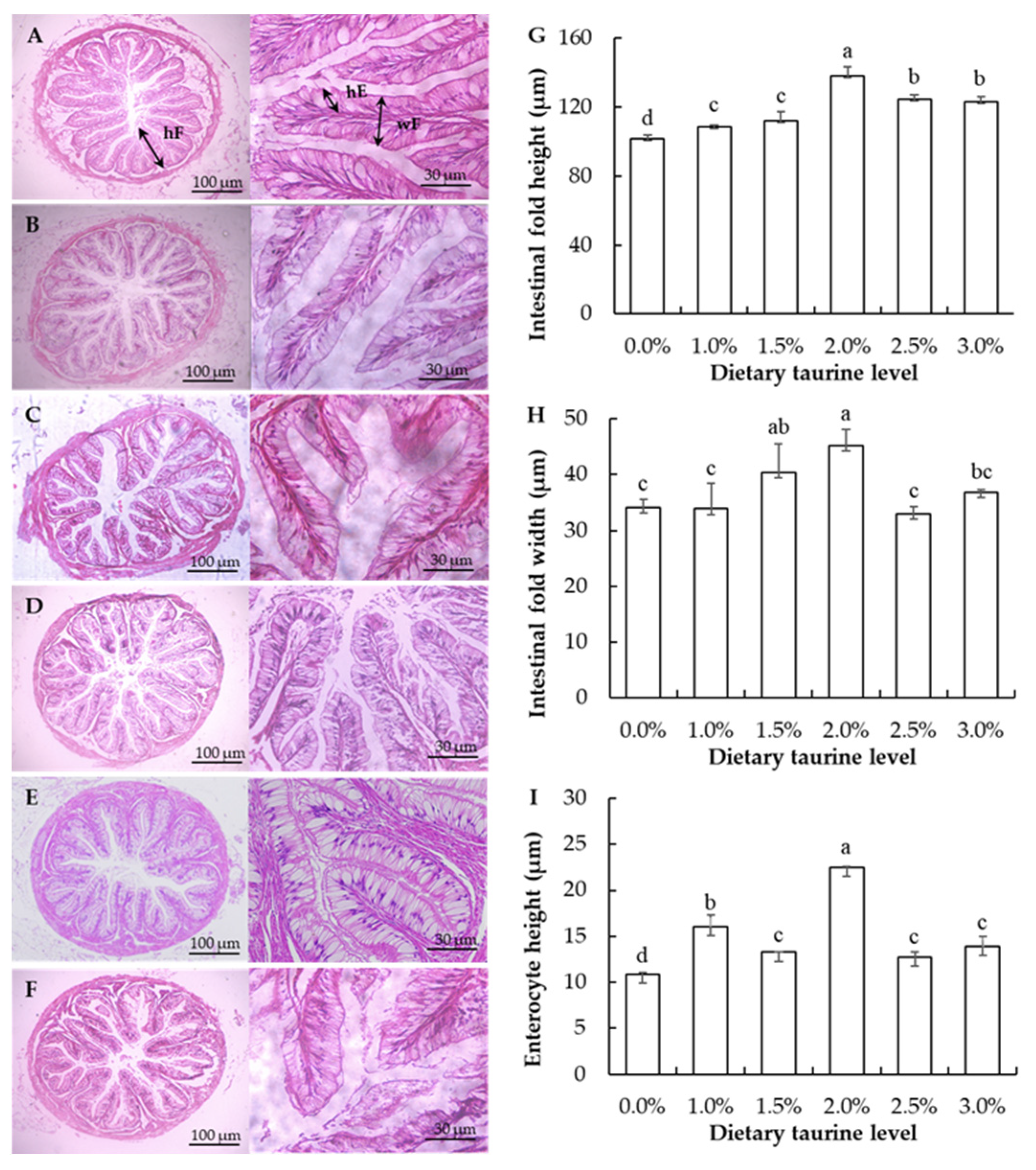 Animals 13 02592 g001 Animals 13 02592 g001