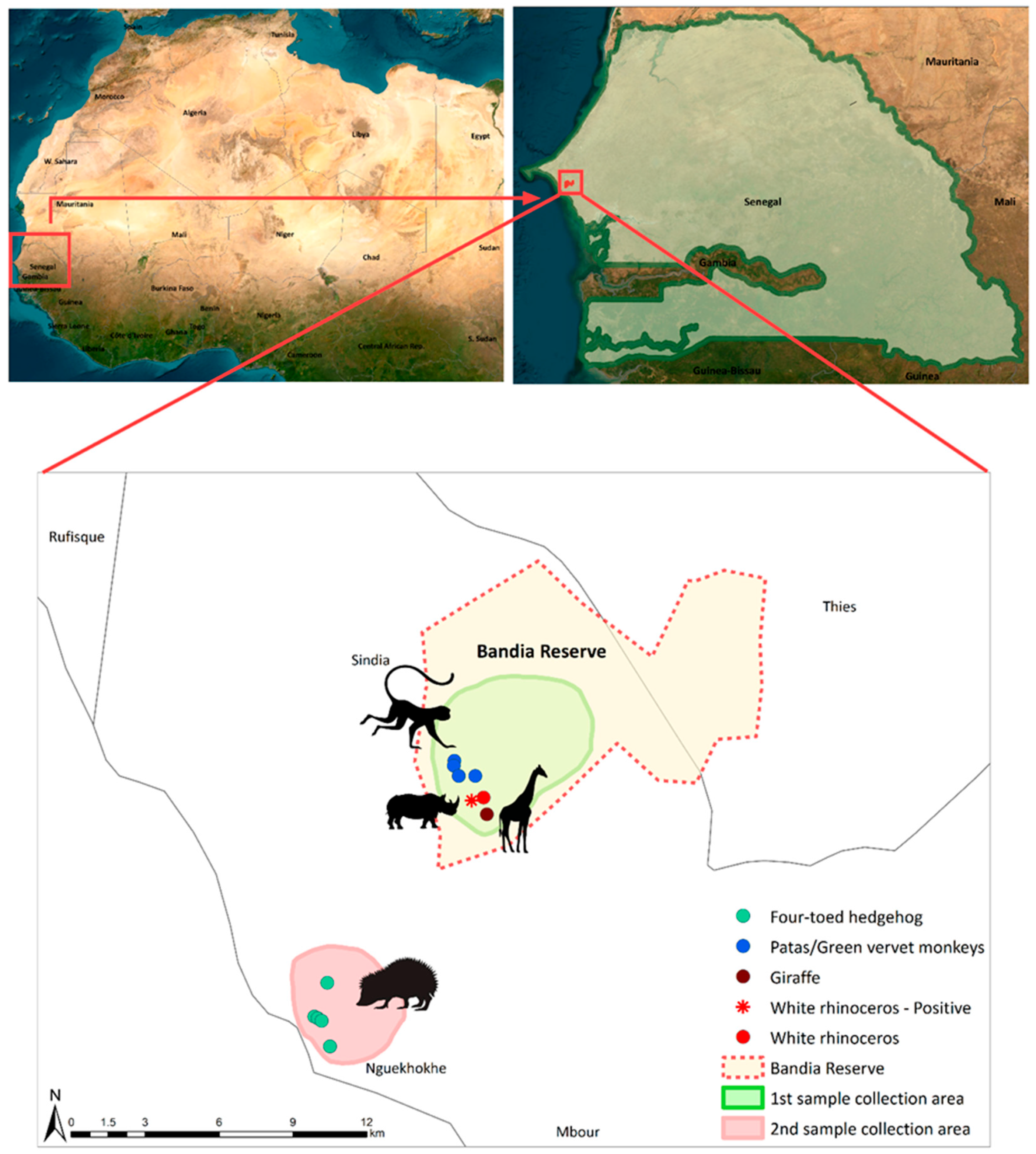 Animals 13 02593 g001 Animals 13 02593 g001