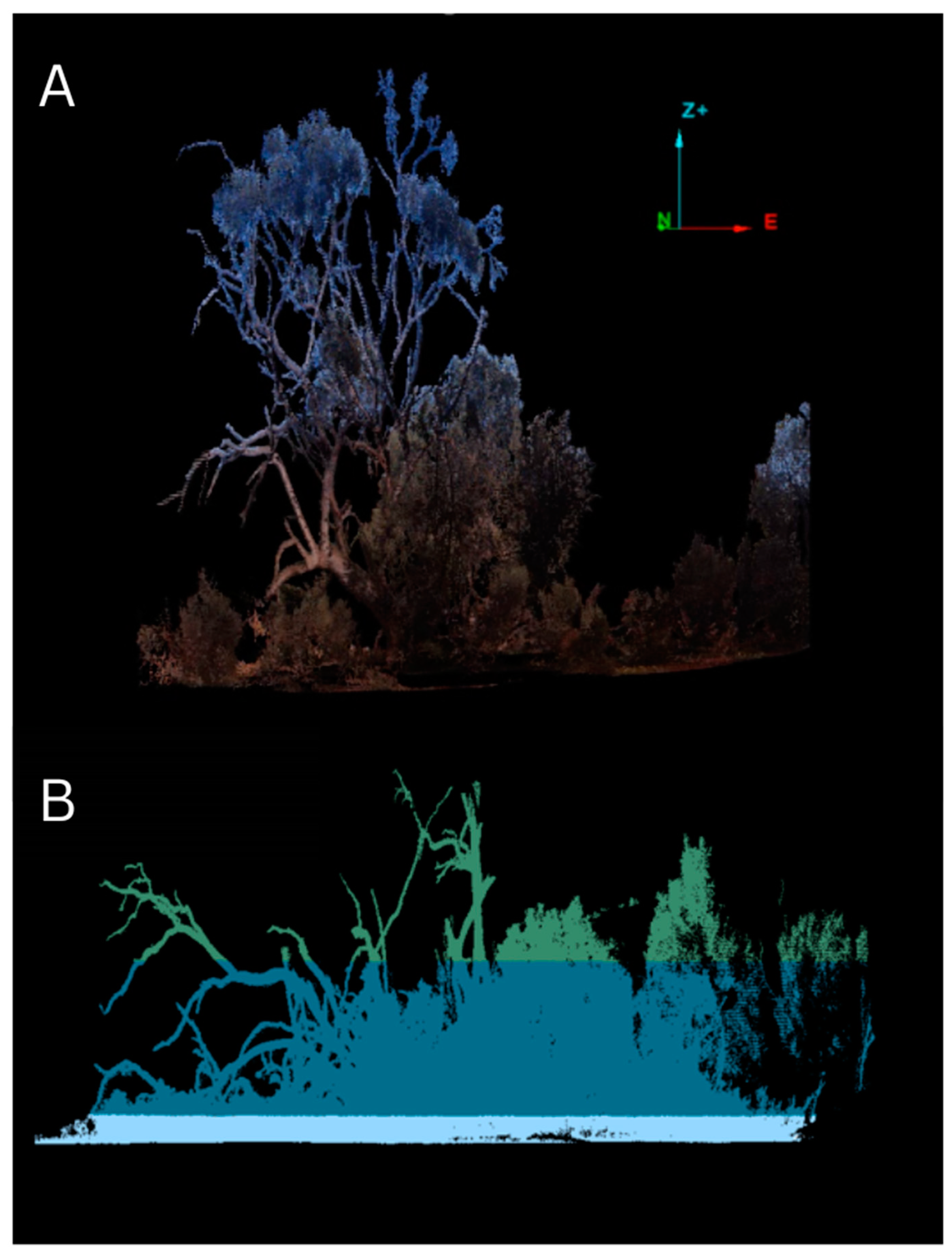 Animals 13 02594 g002 Animals 13 02594 g002