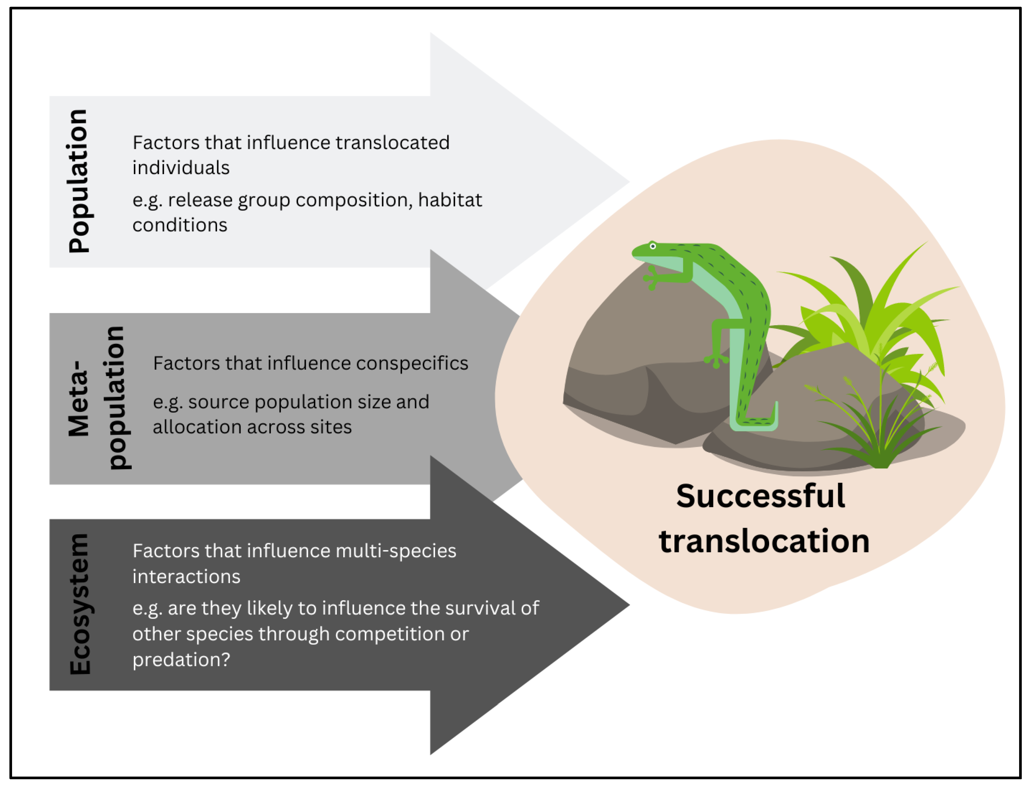 Animals 13 02594 g005 Animals 13 02594 g005