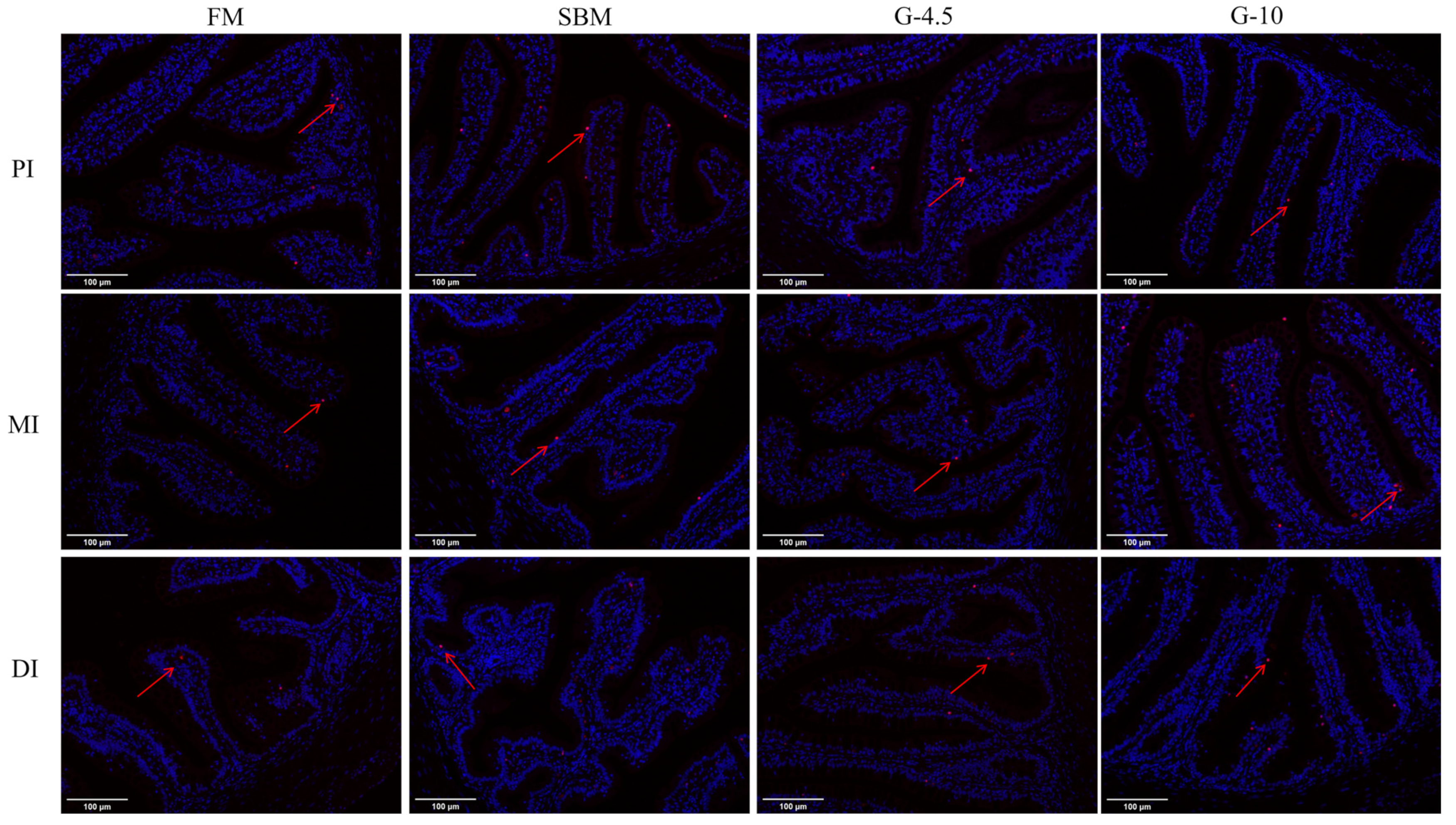 Animals 13 02605 g004