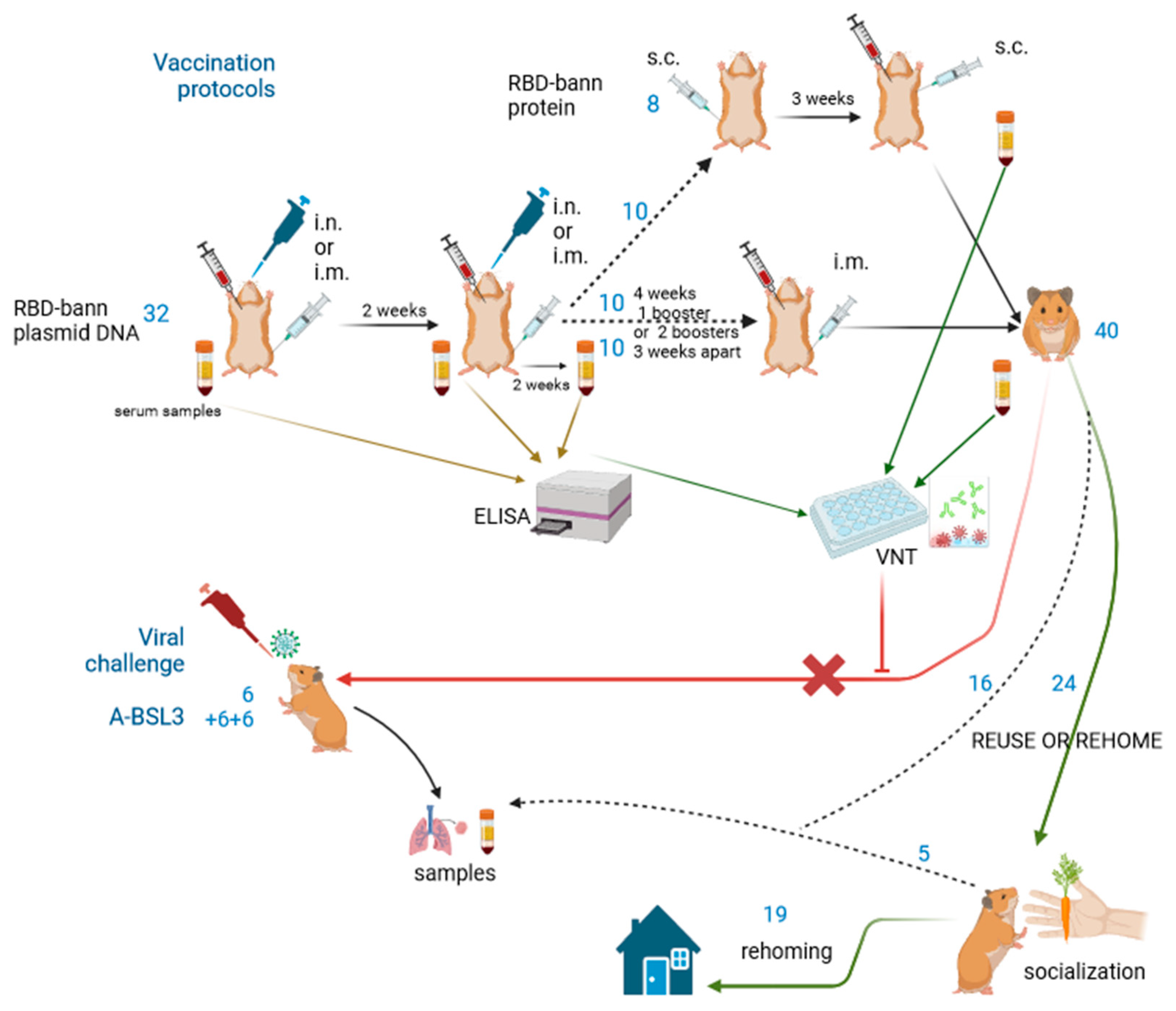 Animals 13 02616 g001