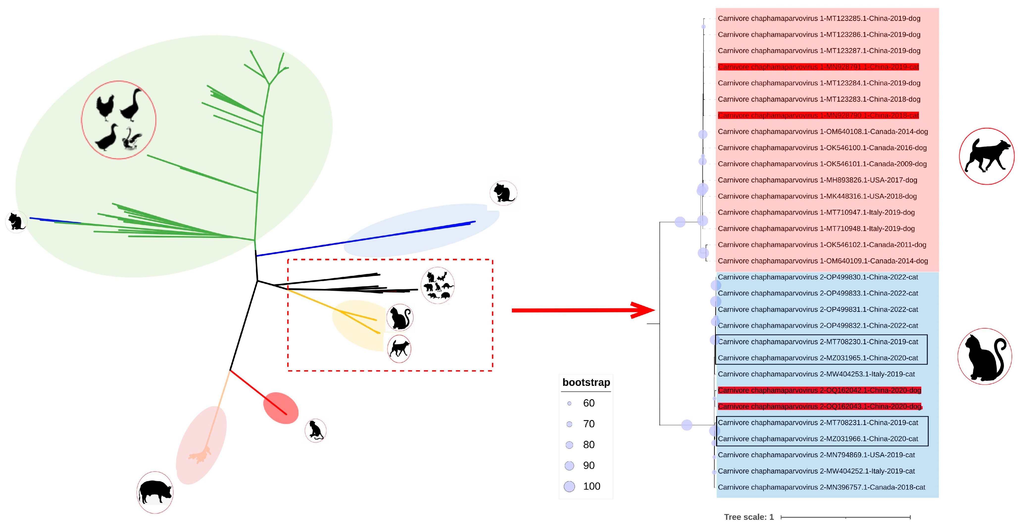 Animals 13 02617 g002