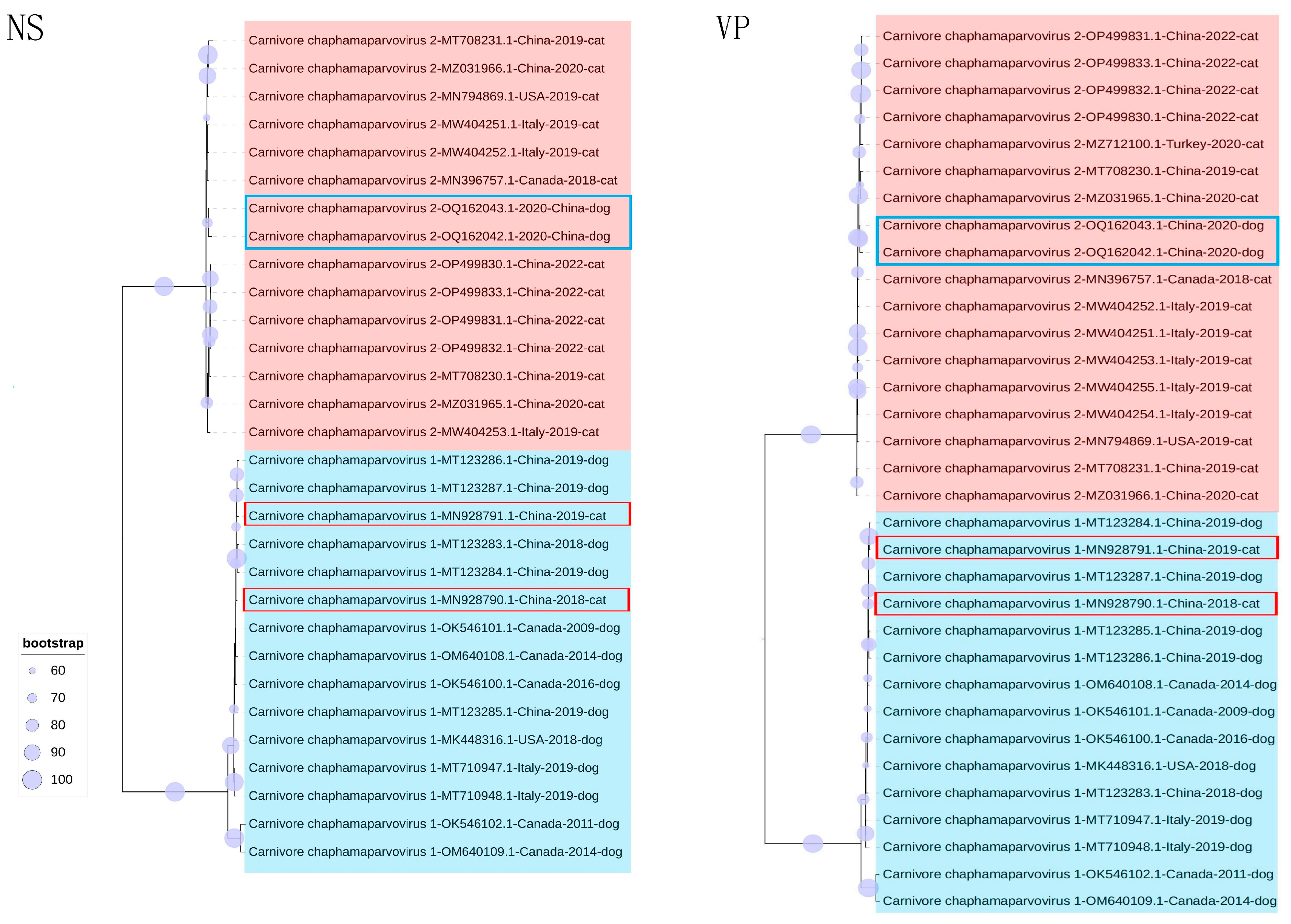 Animals 13 02617 g003