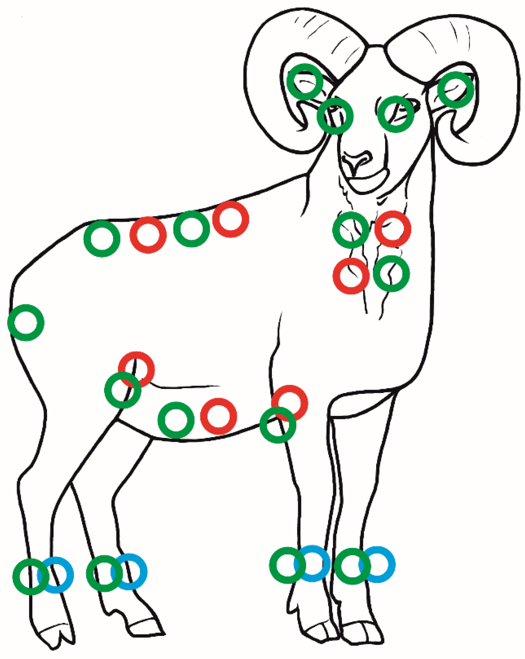 Animals 13 02619 g001 Animals 13 02619 g001