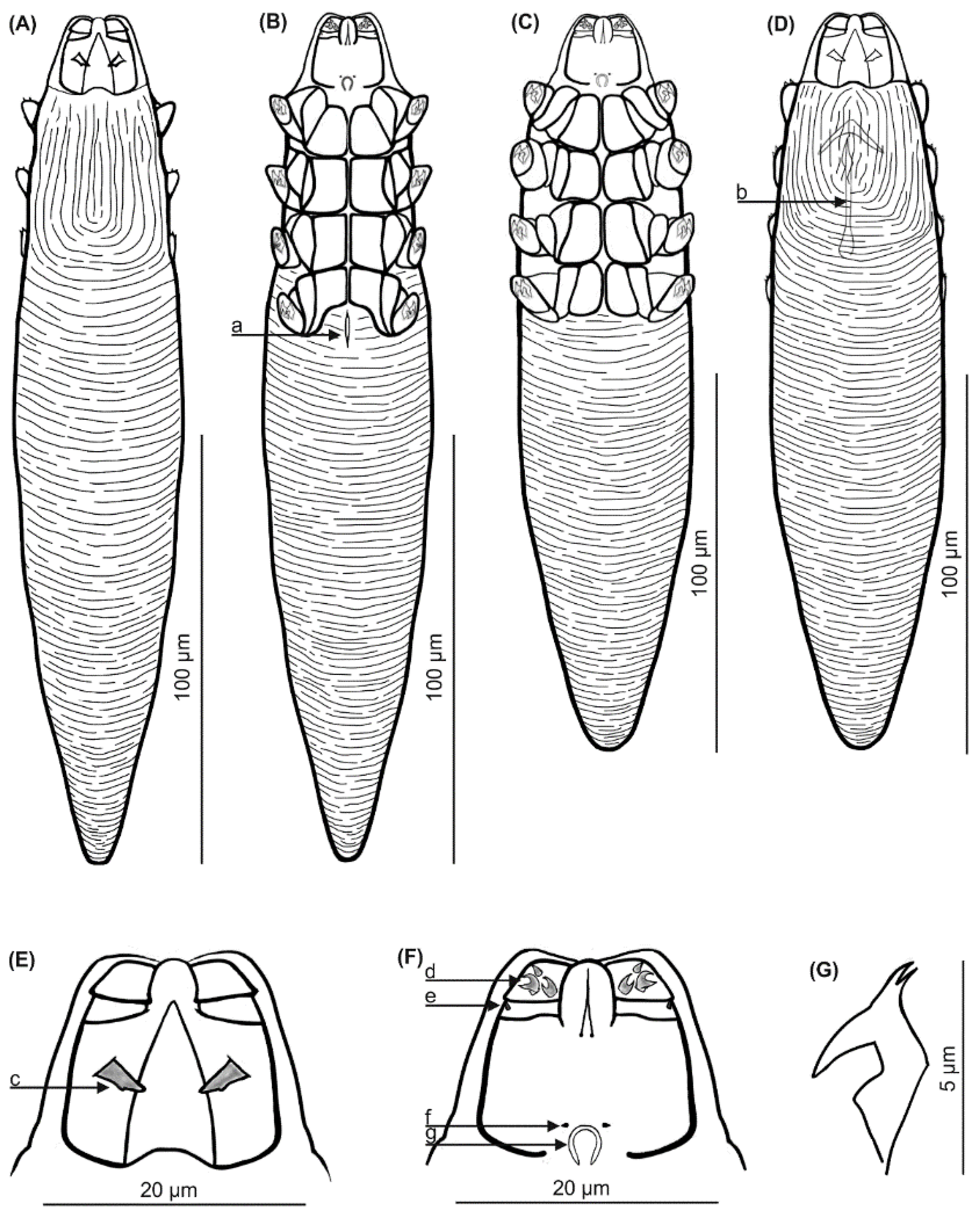 Animals 13 02619 g002 Animals 13 02619 g002