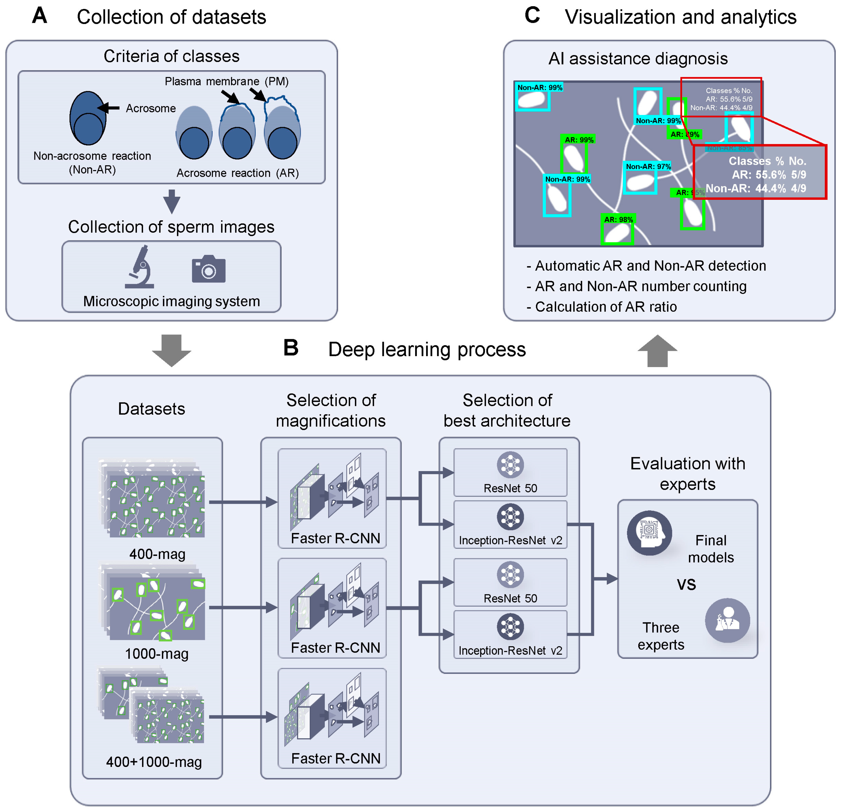 Animals 13 02622 g001 Animals 13 02622 g001