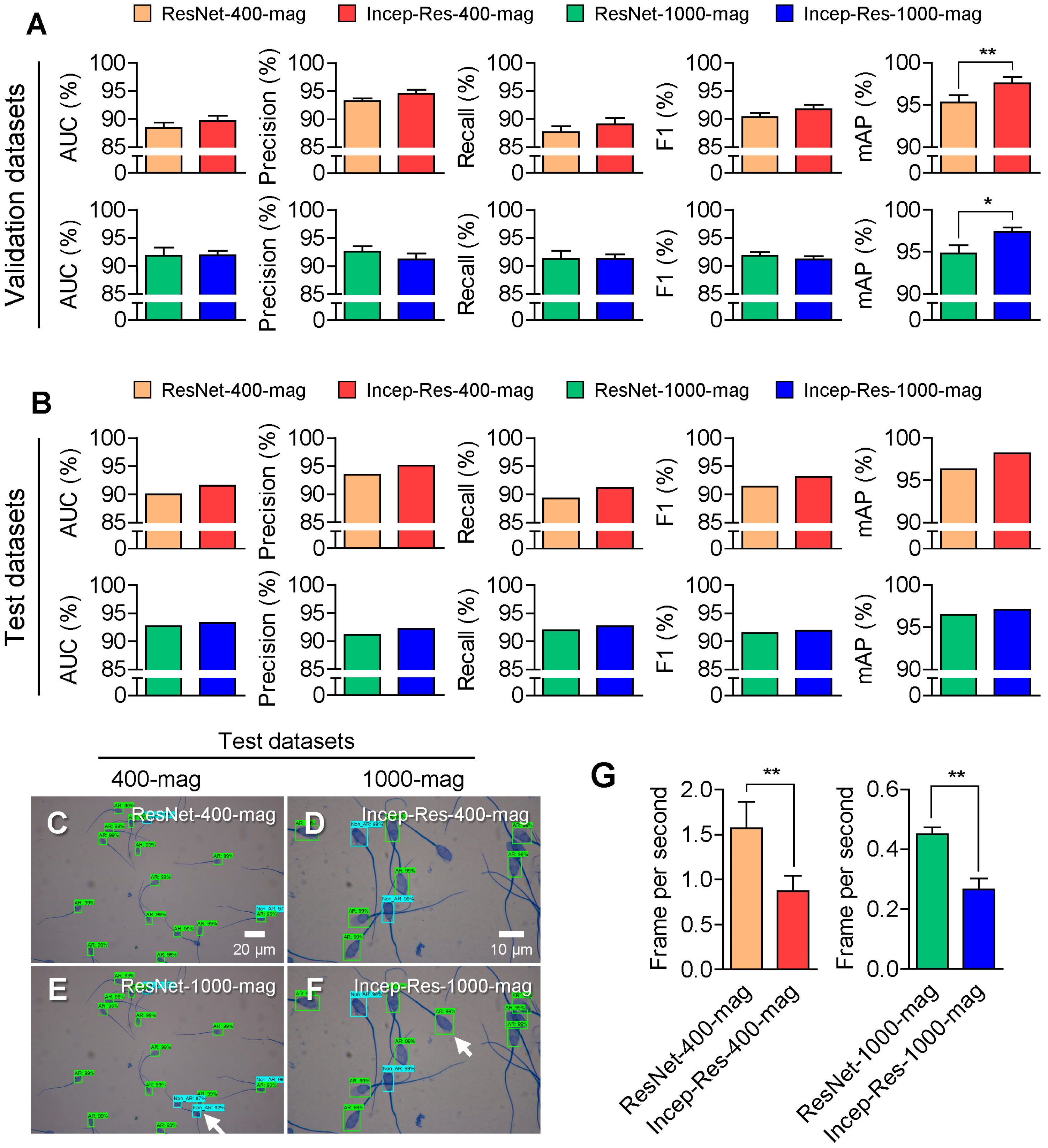 Animals 13 02622 g005 Animals 13 02622 g005