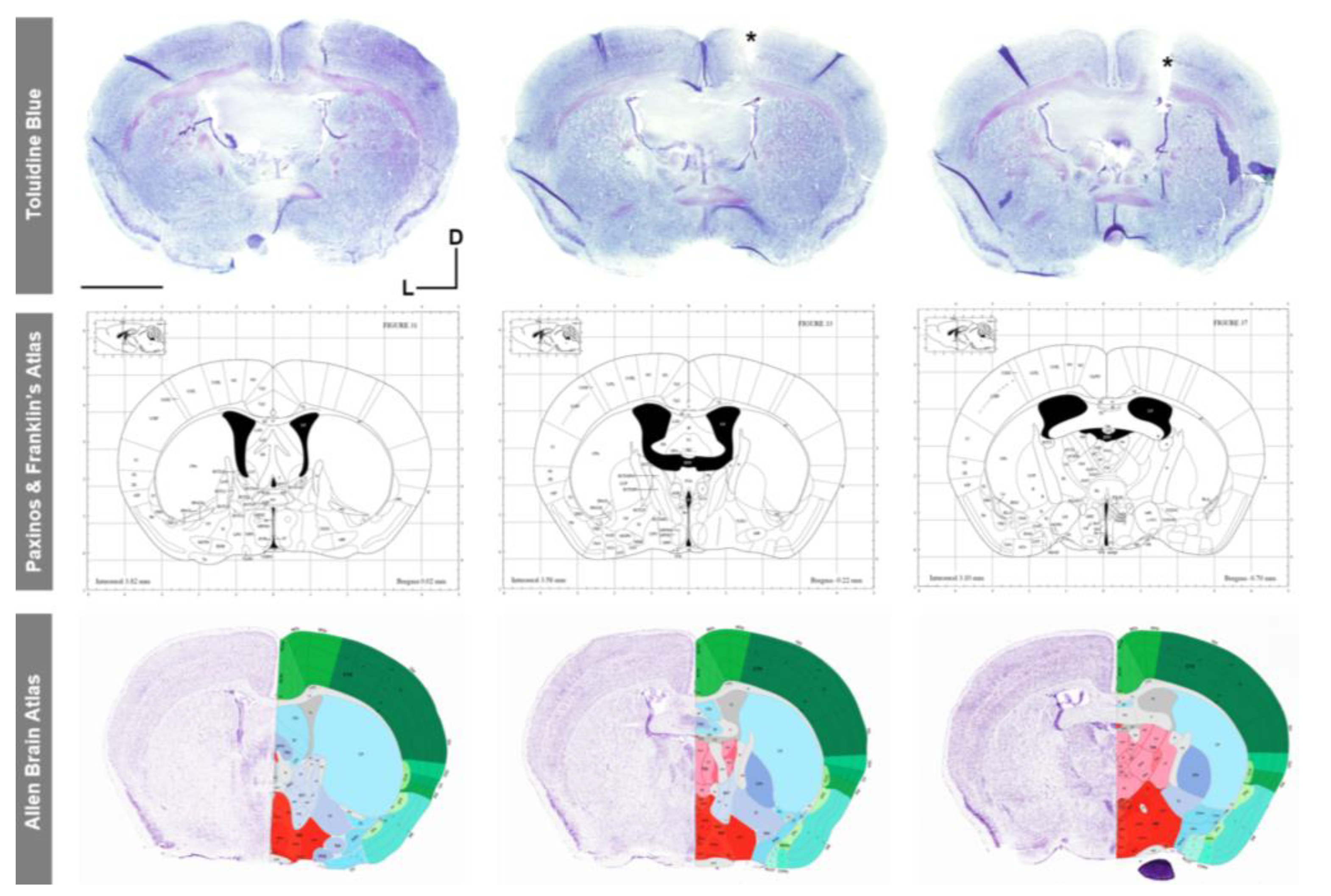 Animals 13 02627 g010 Animals 13 02627 g010