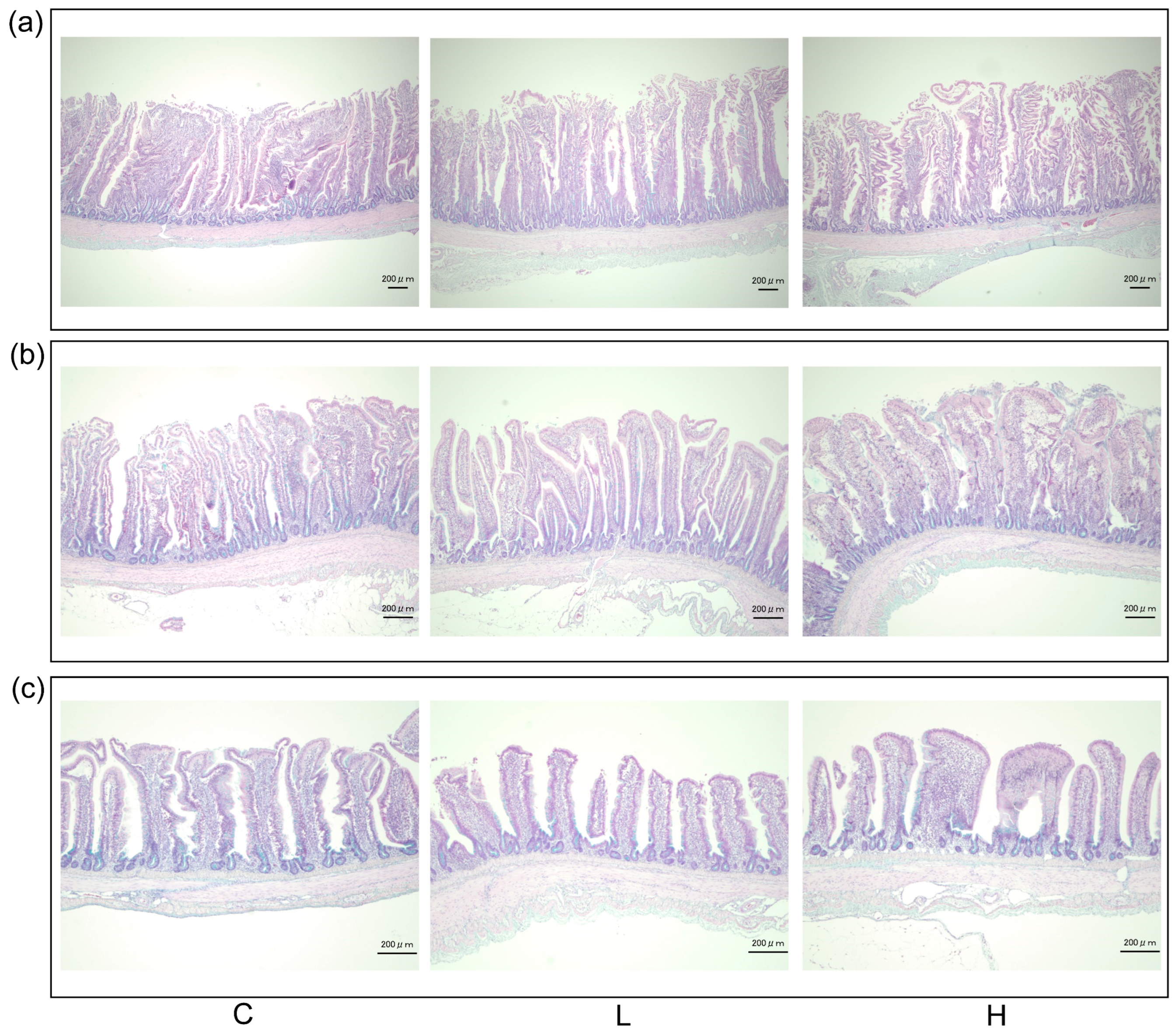 Animals 13 02629 g001 Animals 13 02629 g001