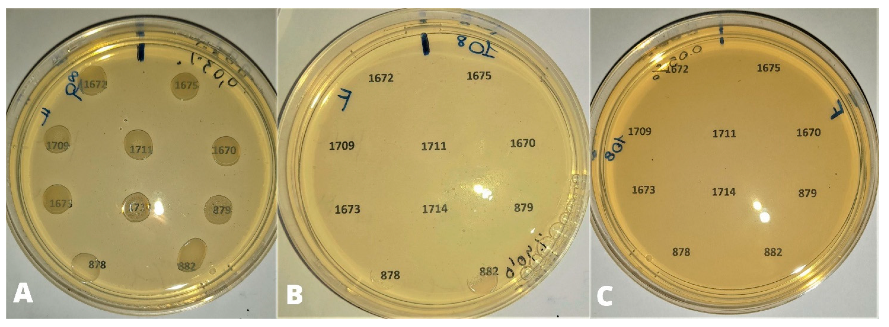 Animals 13 02639 g002 550