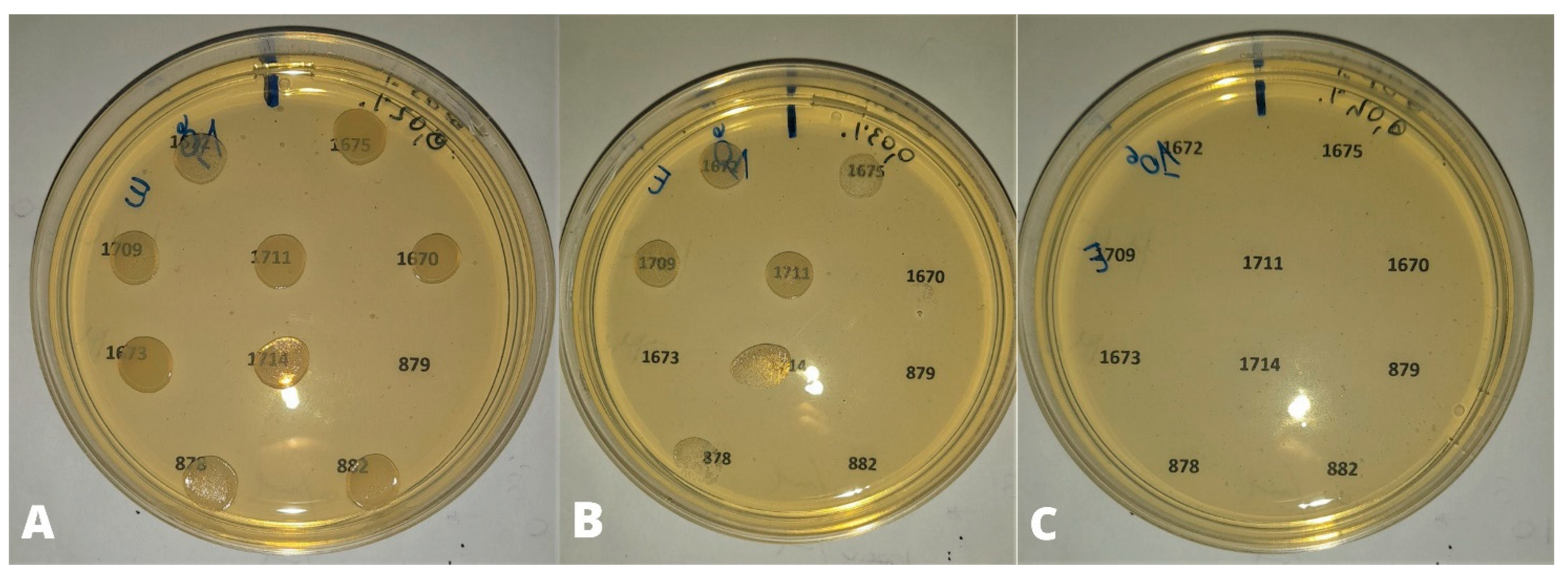 Animals 13 02639 g003 550