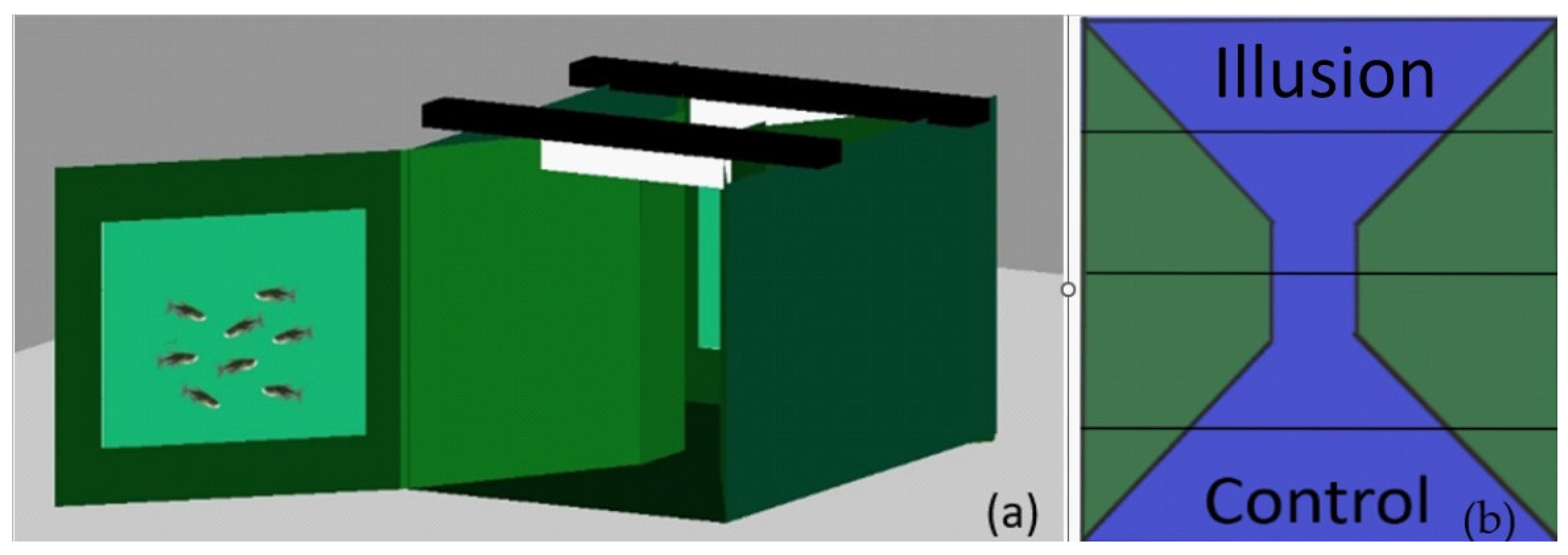 Animals 13 02640 g001 550