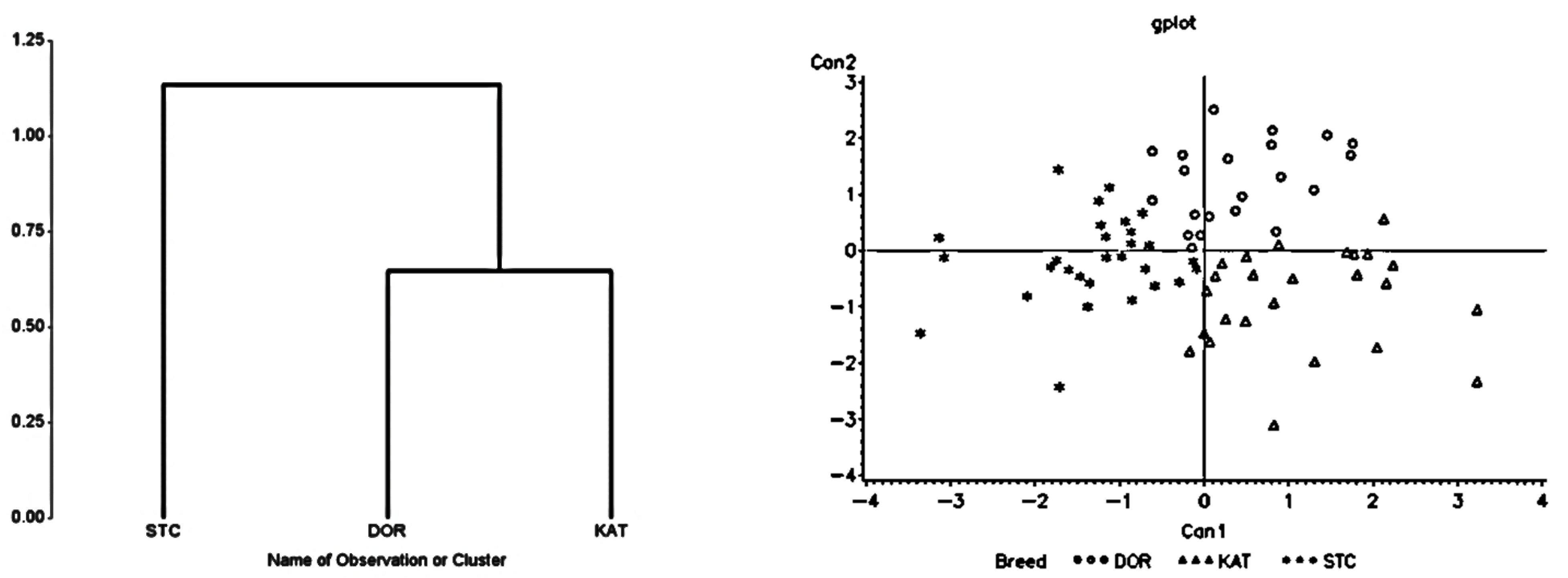 Animals 13 02643 g001