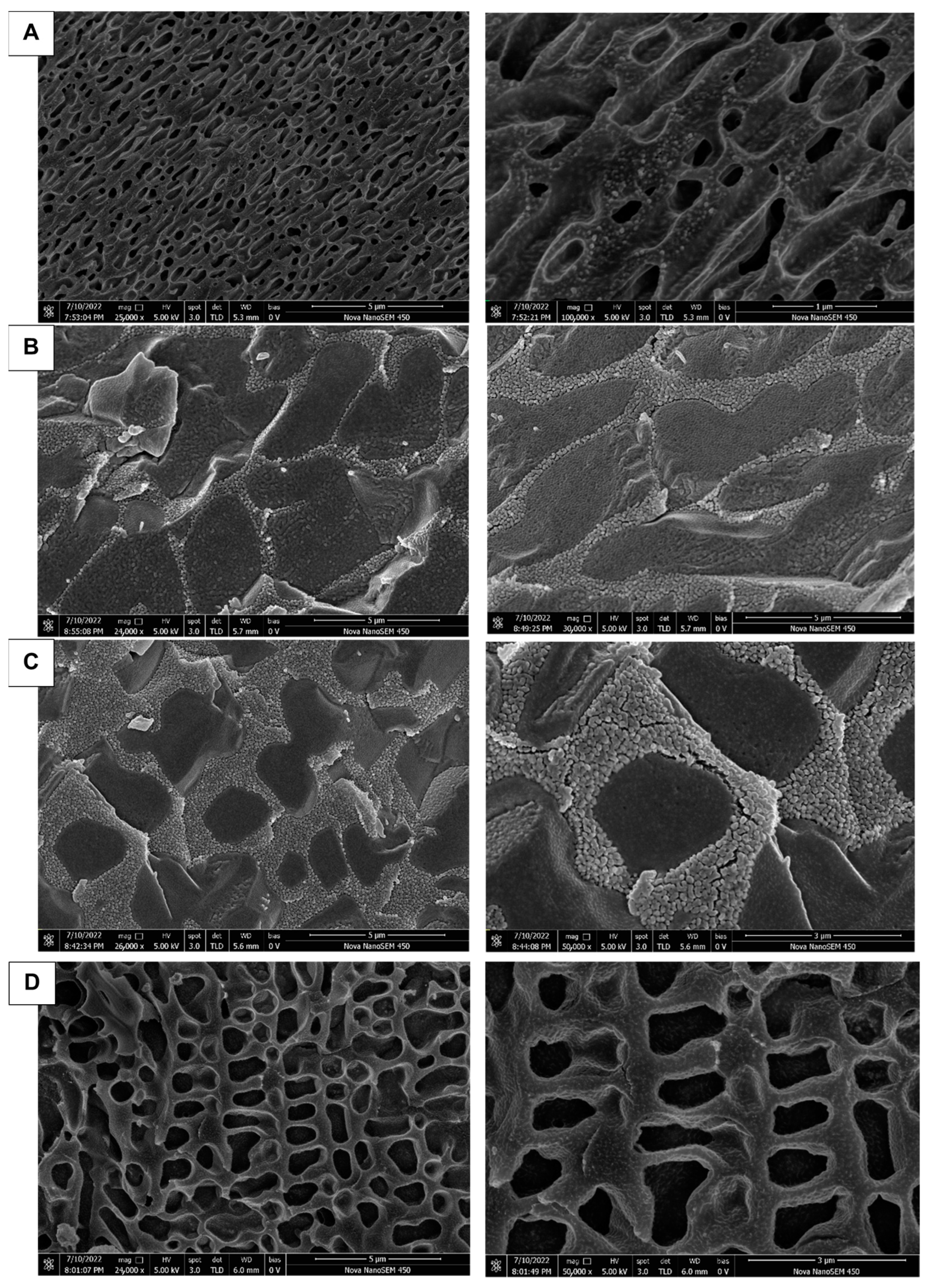 Animals 13 02646 g005