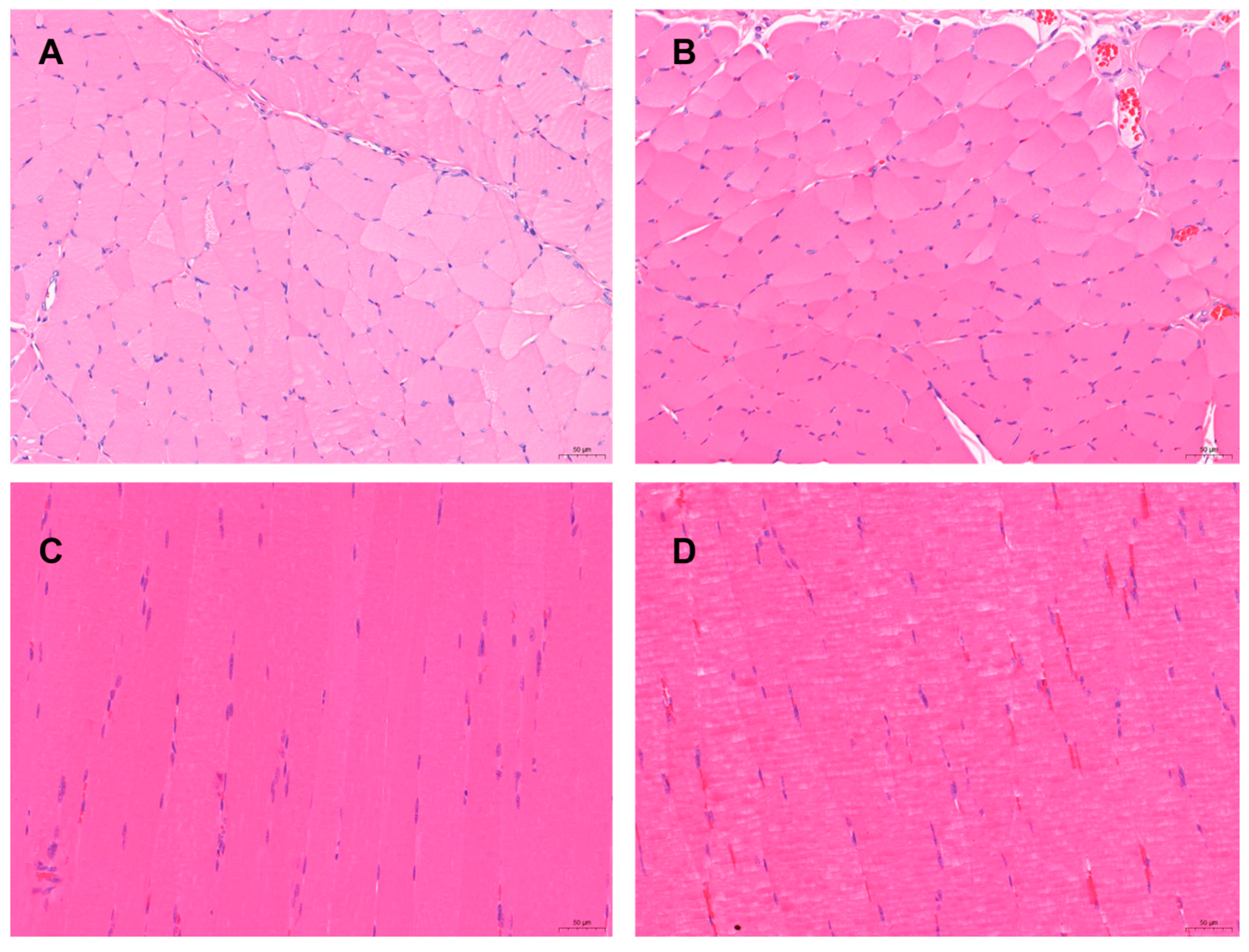 Animals 13 02646 g009