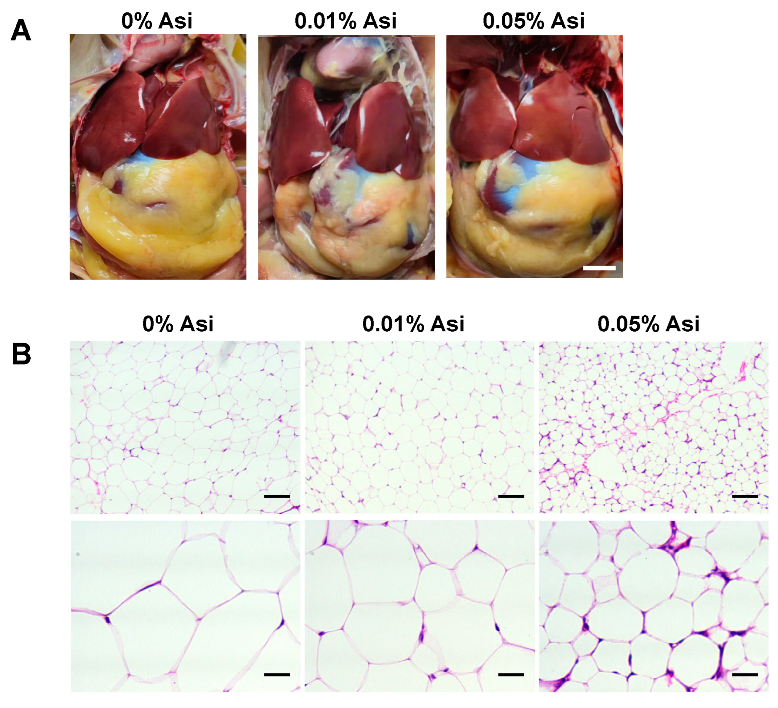 Animals 13 02653 g001