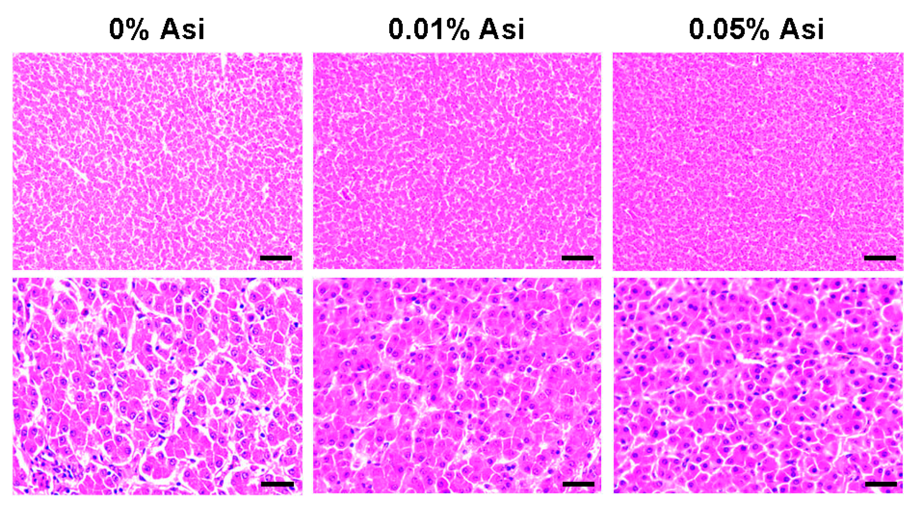 Animals 13 02653 g002