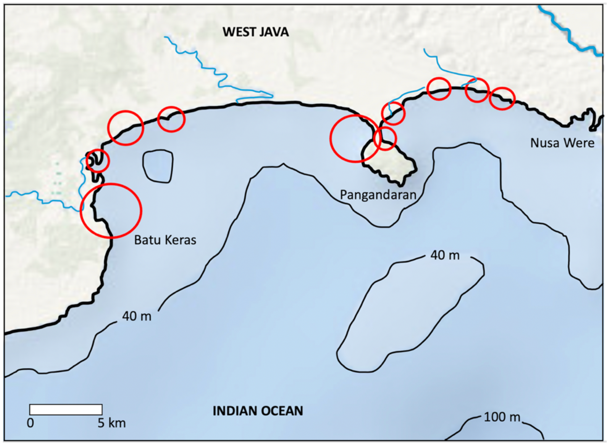 Animals 13 02656 g001