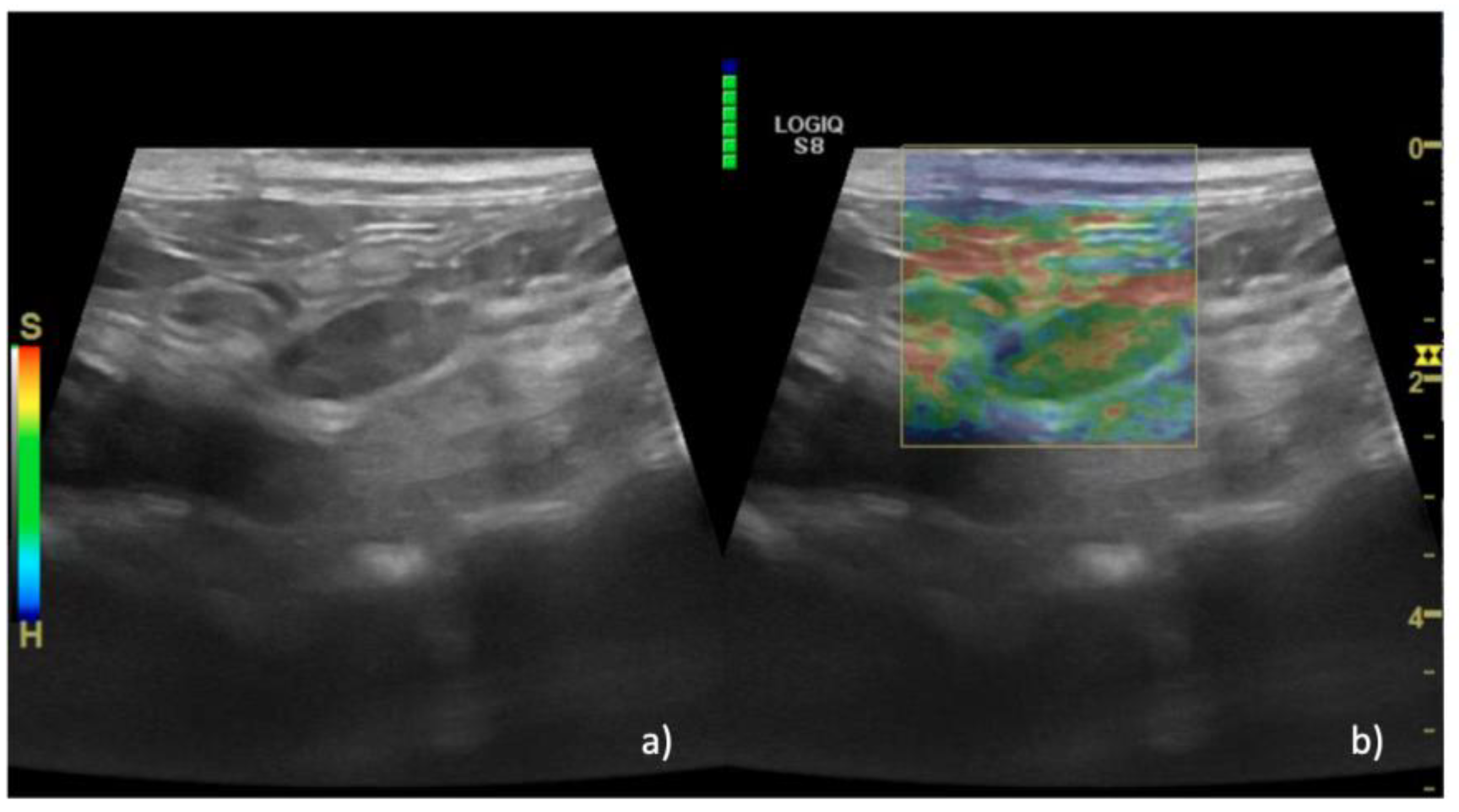 Animals 13 02664 g002 Animals 13 02664 g002