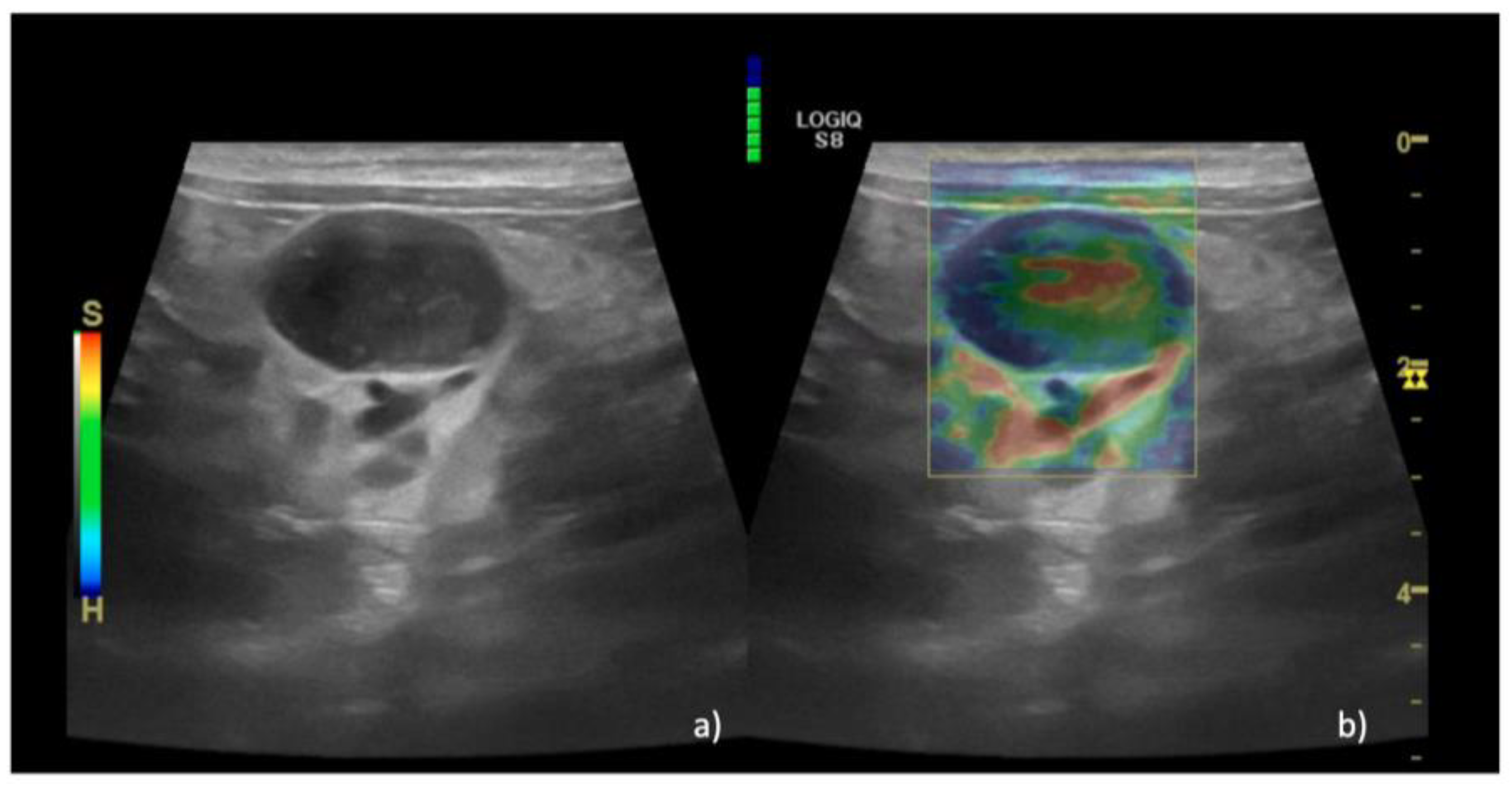 Animals 13 02664 g004 Animals 13 02664 g004