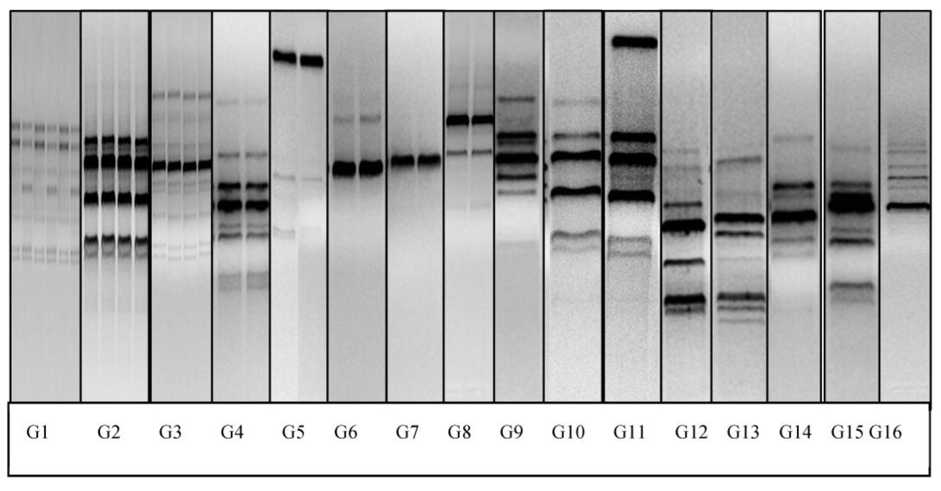 Animals 13 02669 g004 Animals 13 02669 g004