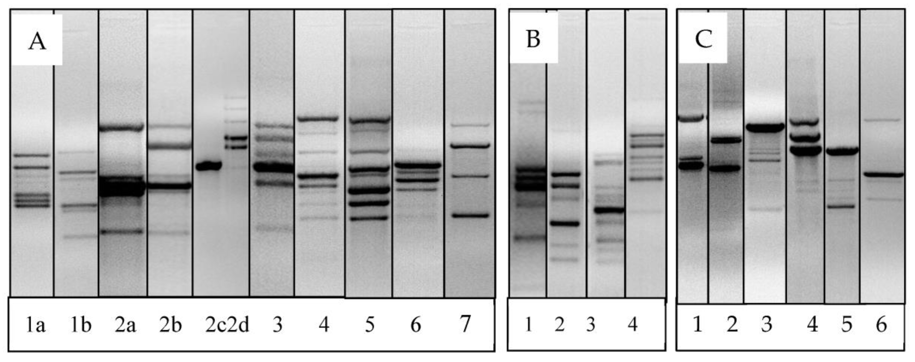 Animals 13 02669 g005 Animals 13 02669 g005