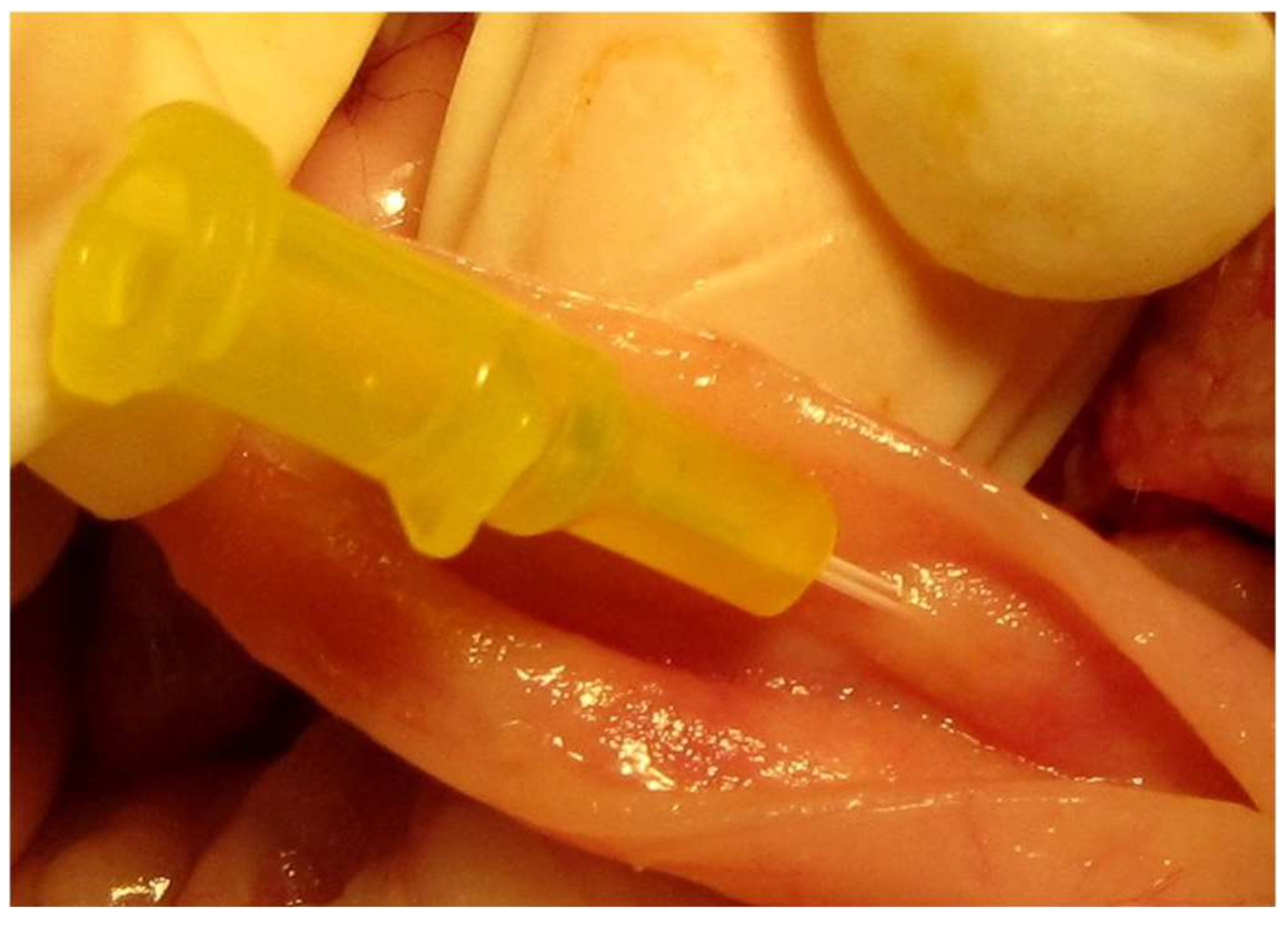 Animals 13 02670 g012