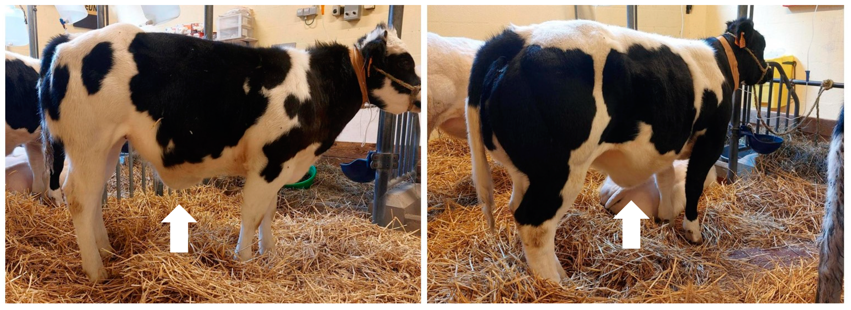 Animals 13 02678 g001