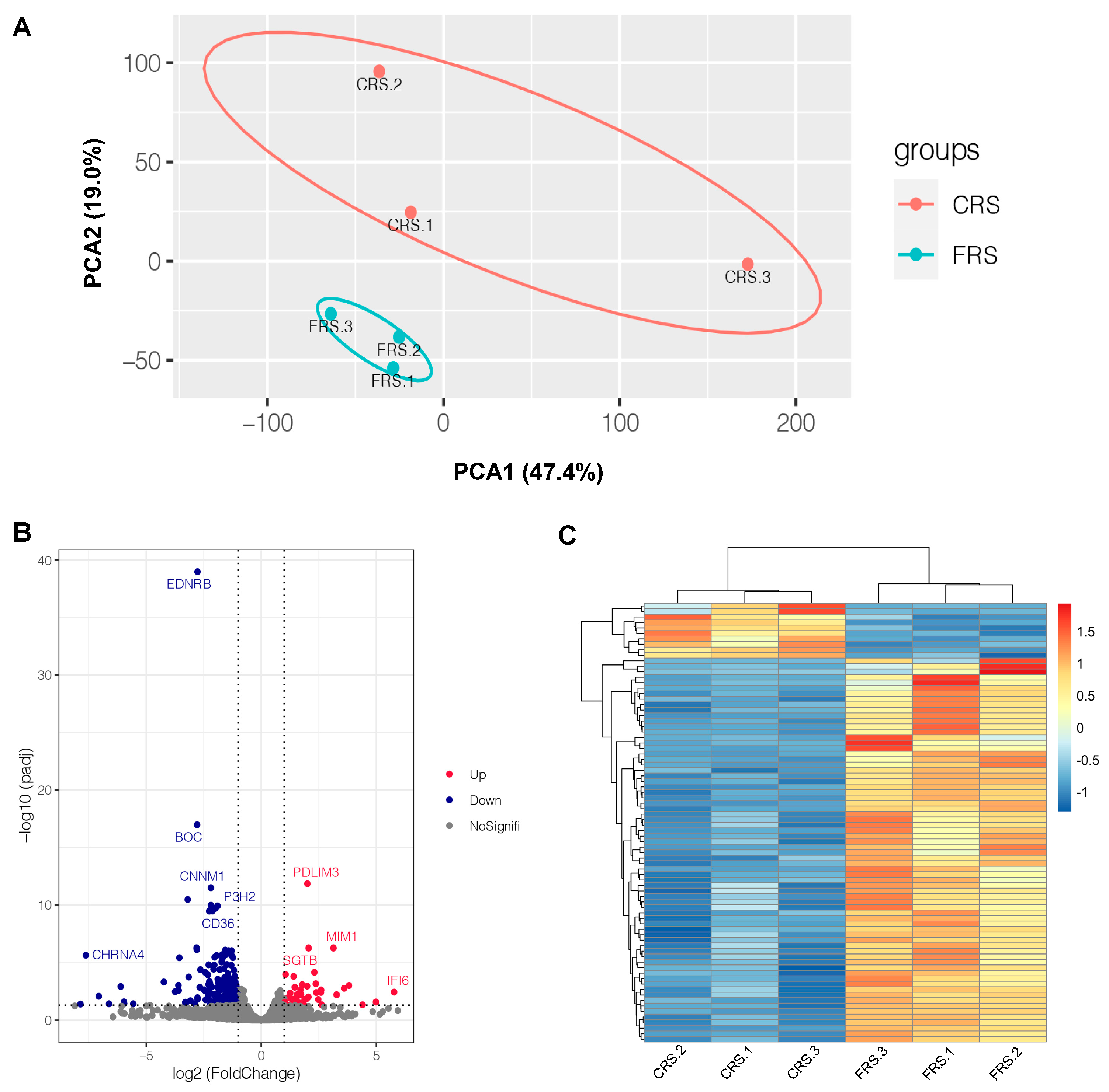 Animals 13 02682 g003