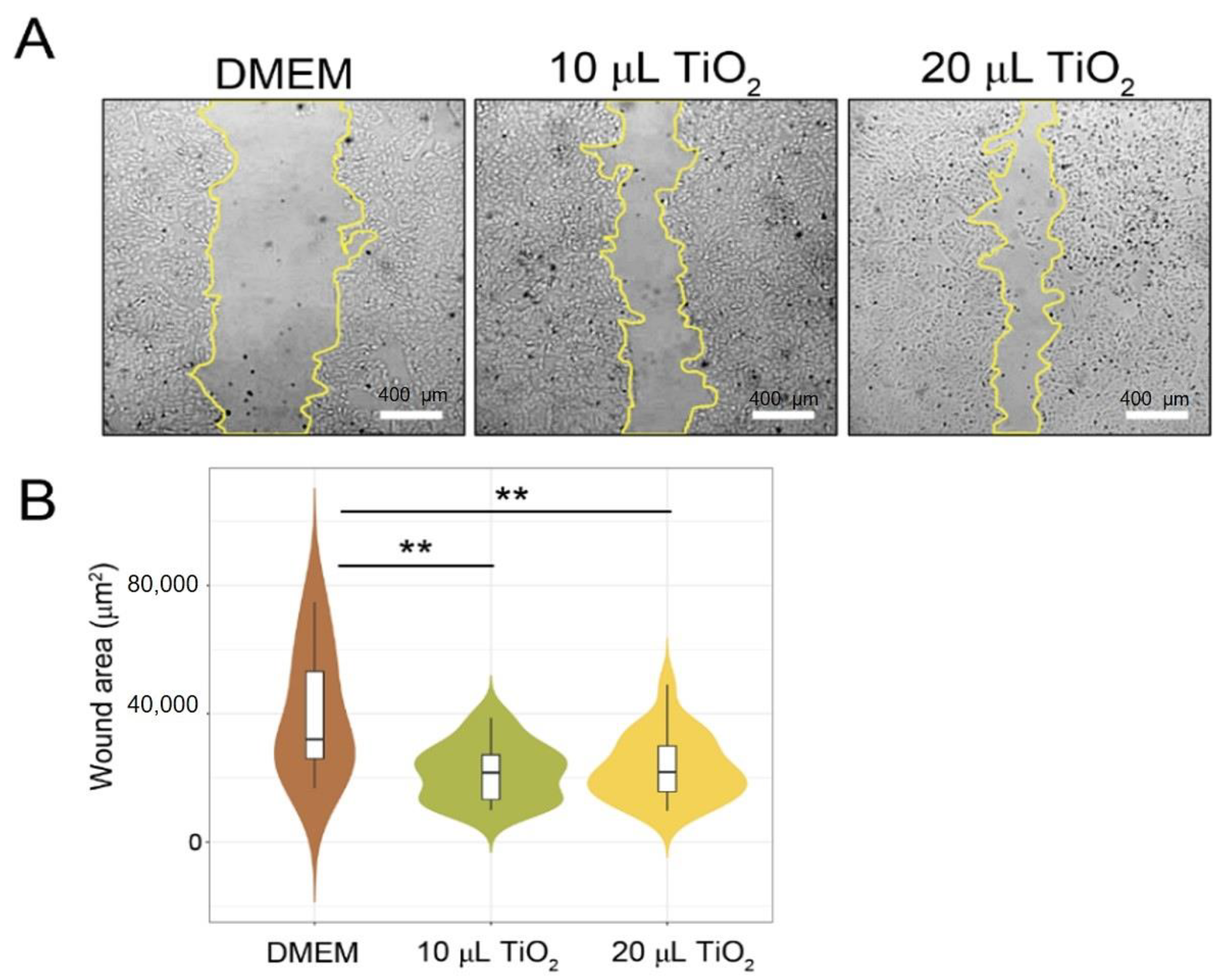 Animals 13 02688 g005