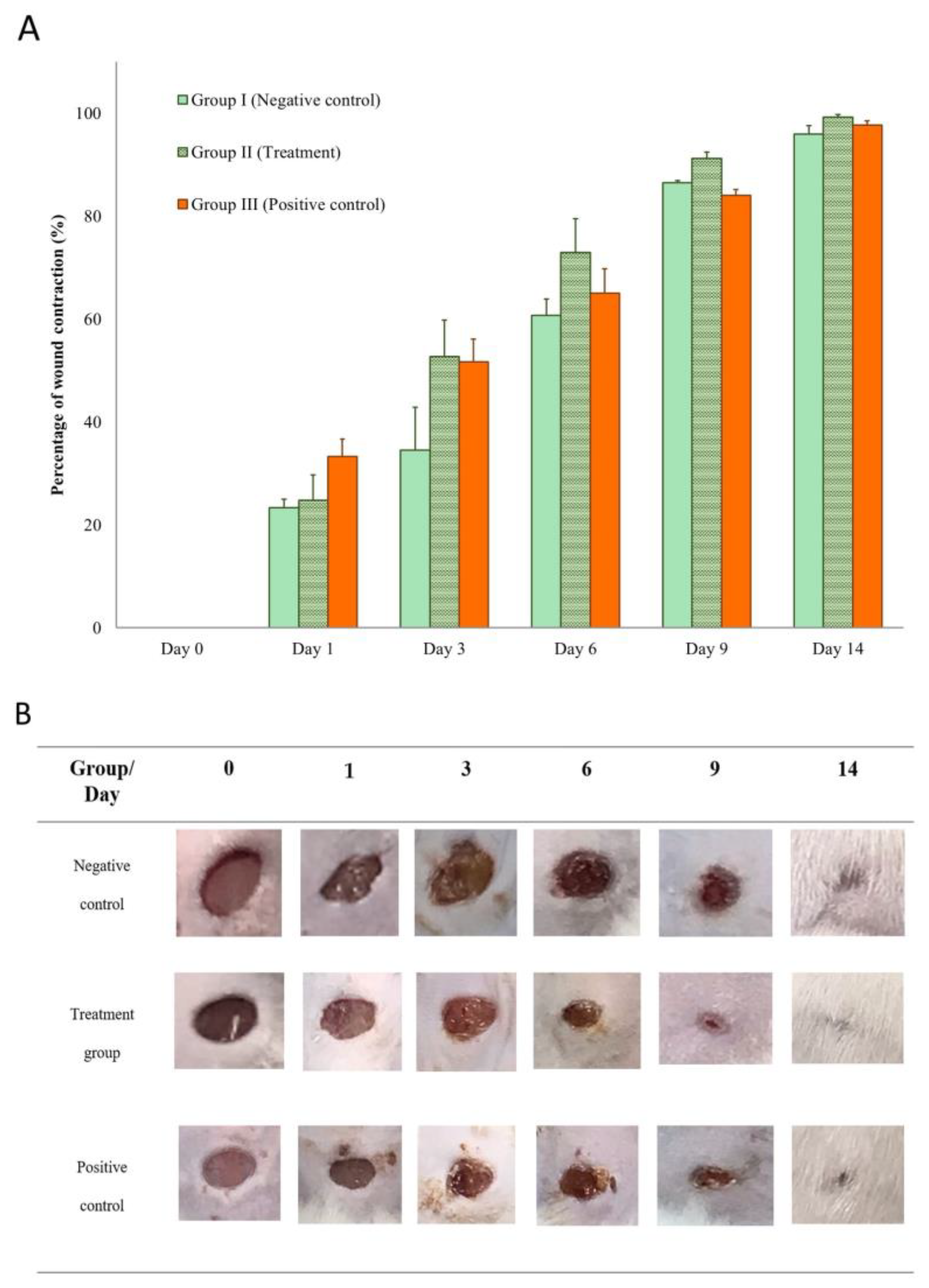 Animals 13 02688 g008