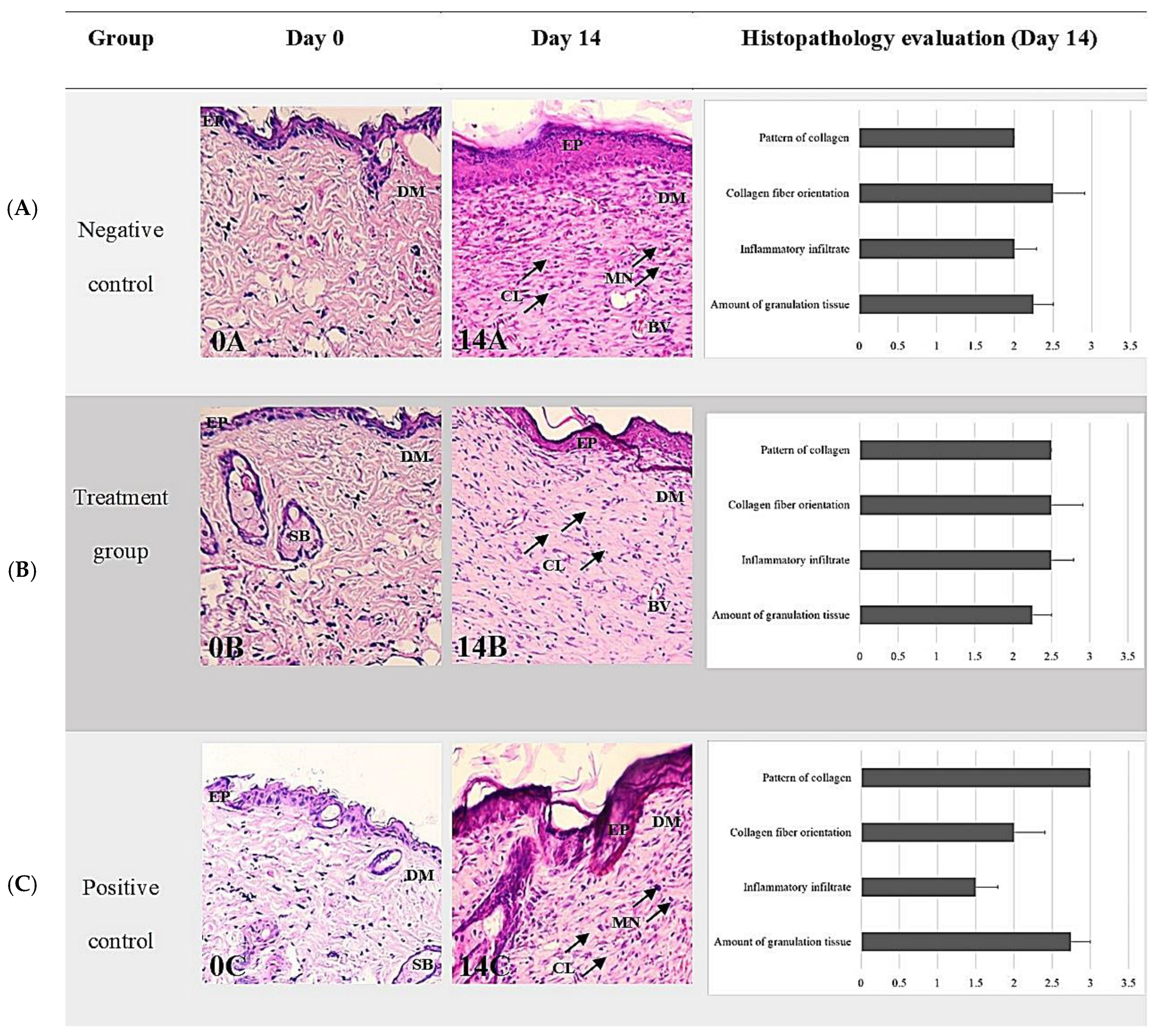 Animals 13 02688 g009