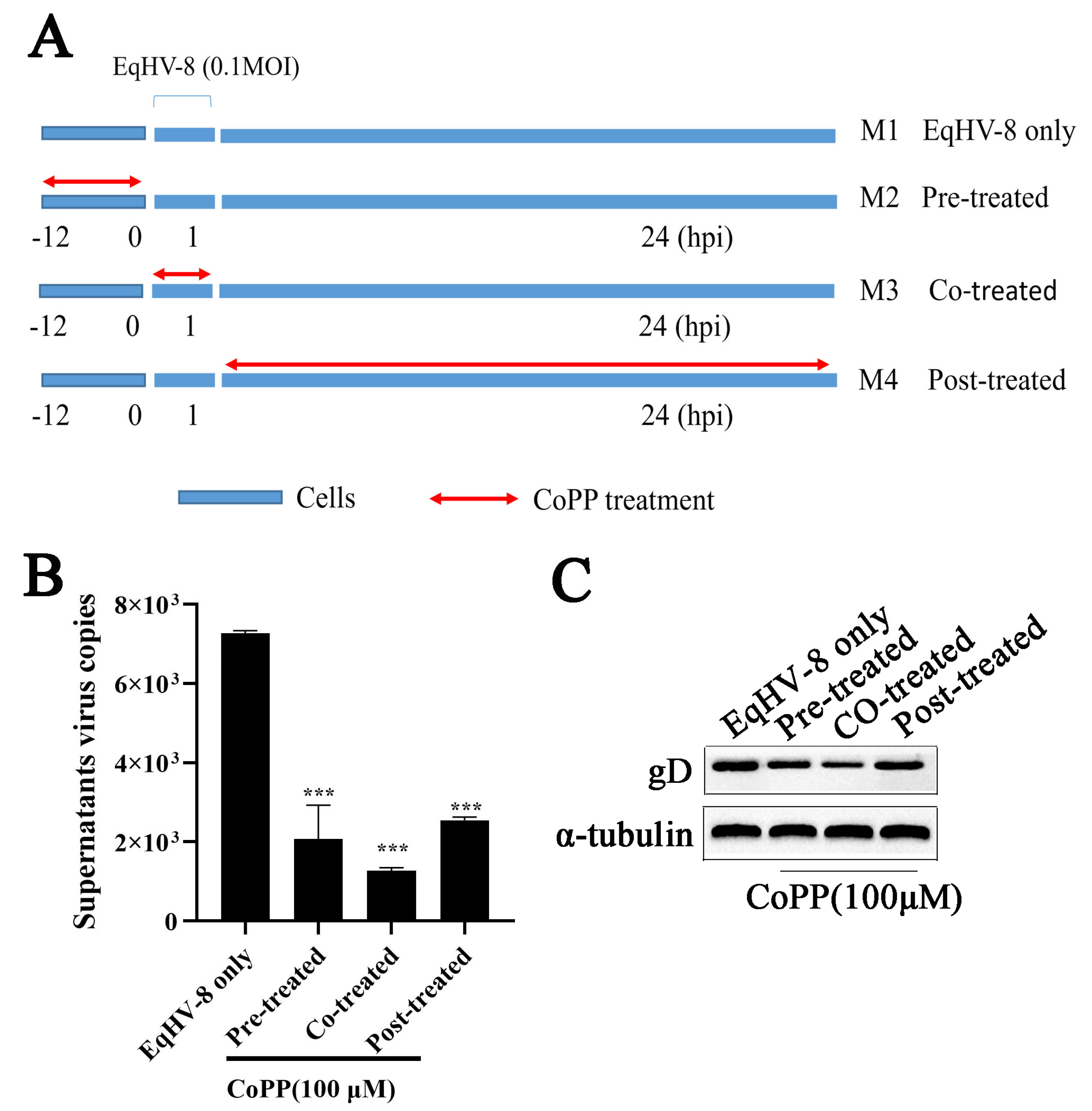 Animals 13 02690 g003