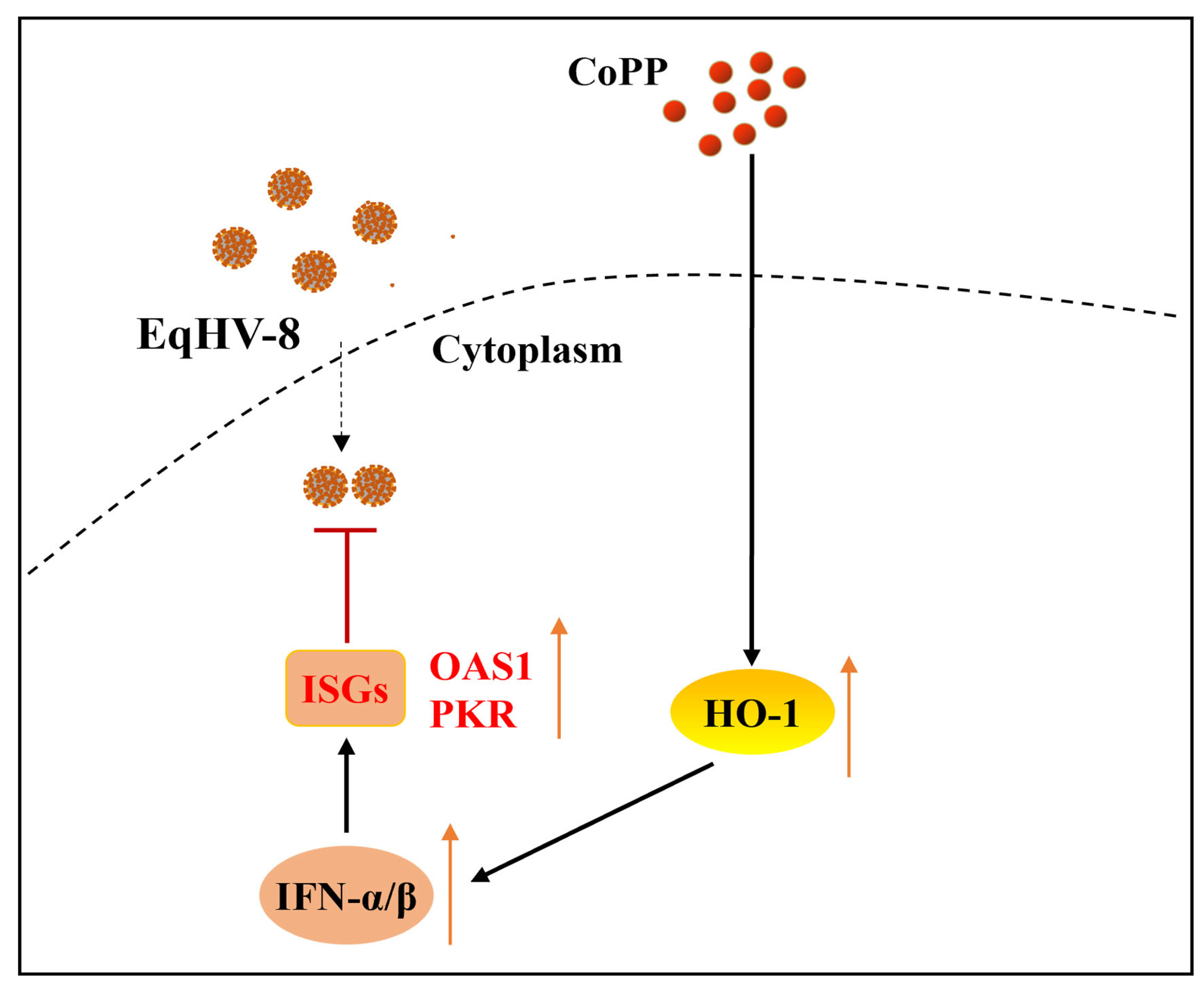 Animals 13 02690 g006