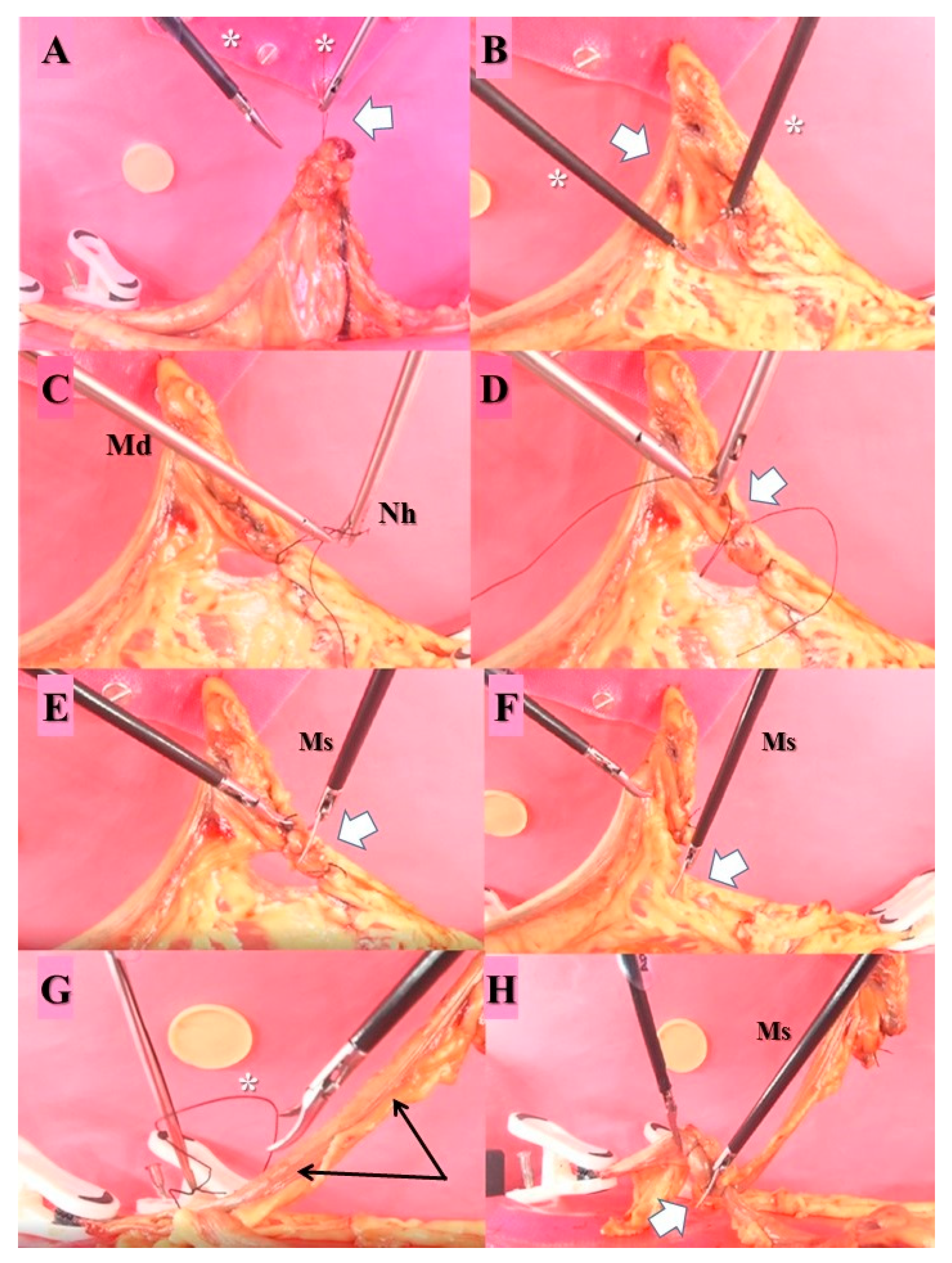 Animals 13 02698 g004