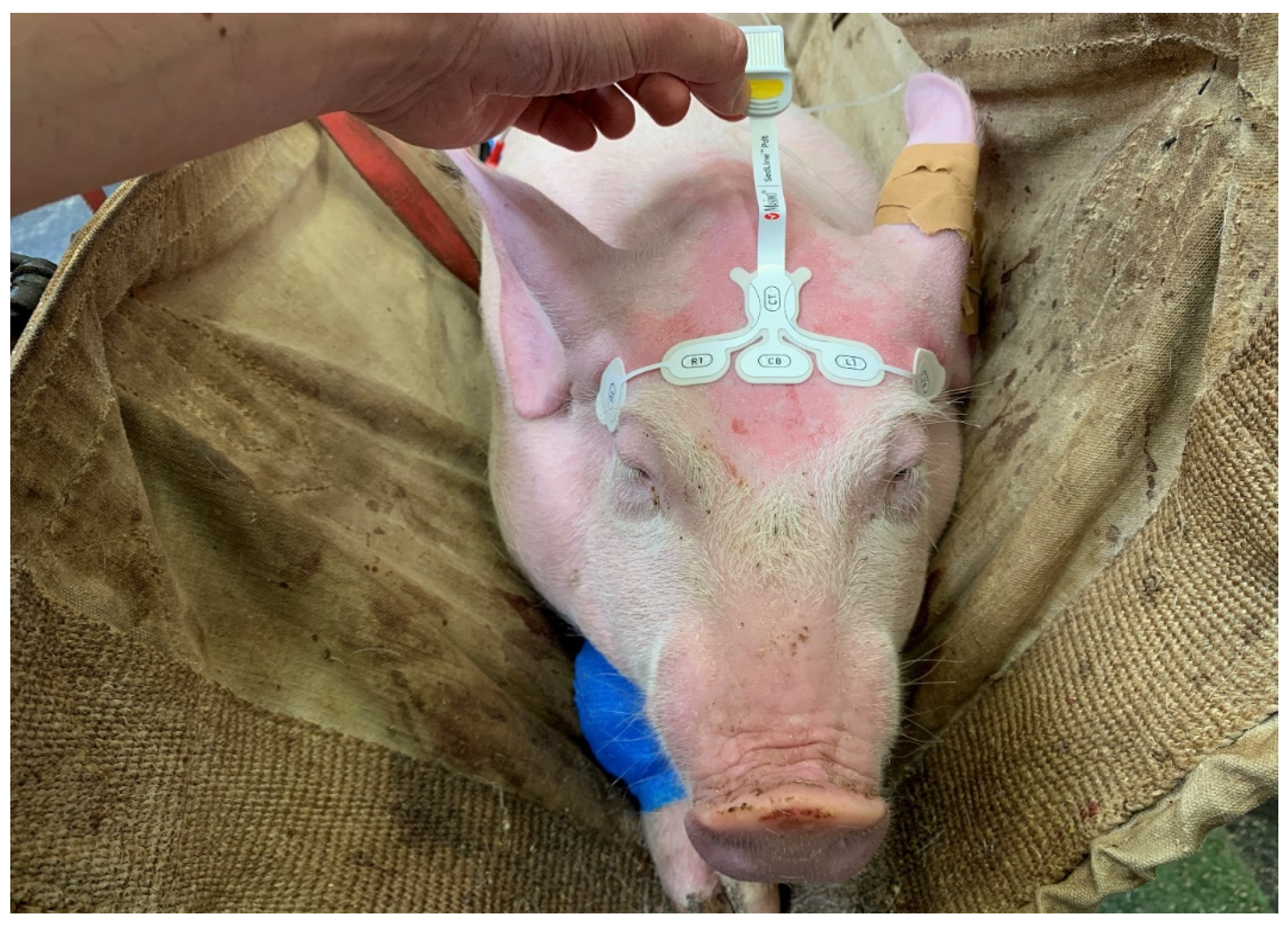 Animals 13 02699 g001