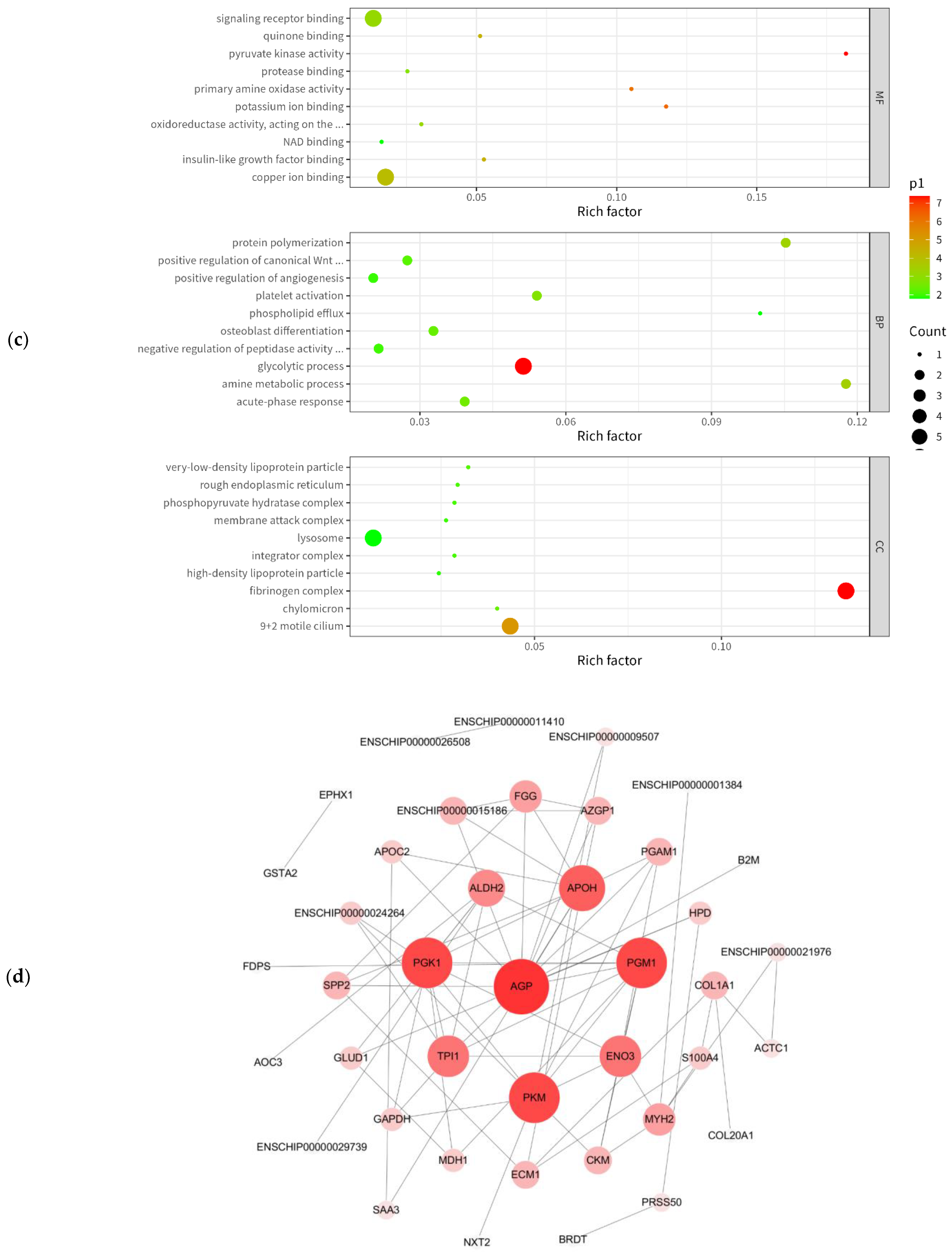 Animals 13 02705 g004b