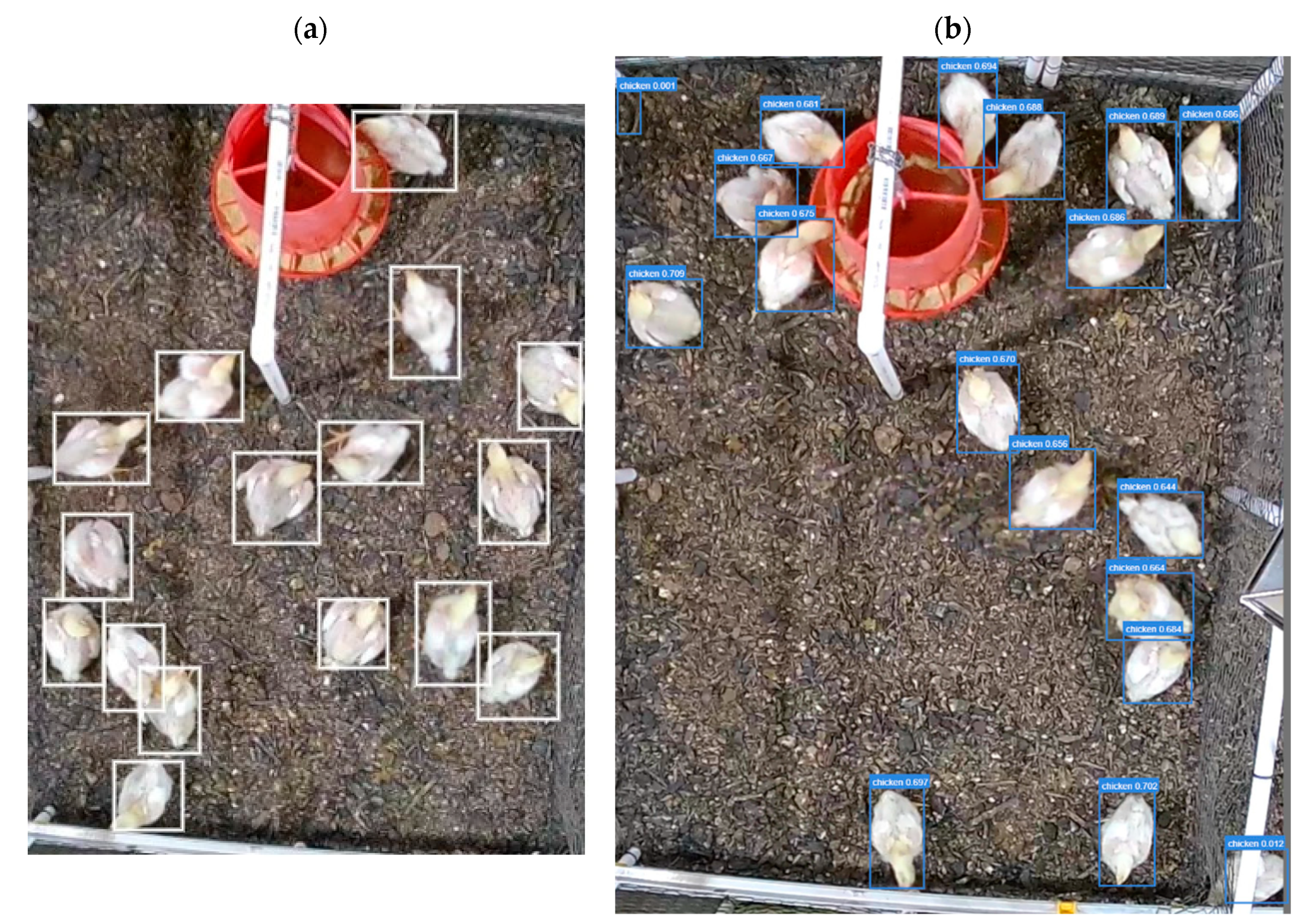 Animals 13 02719 g004