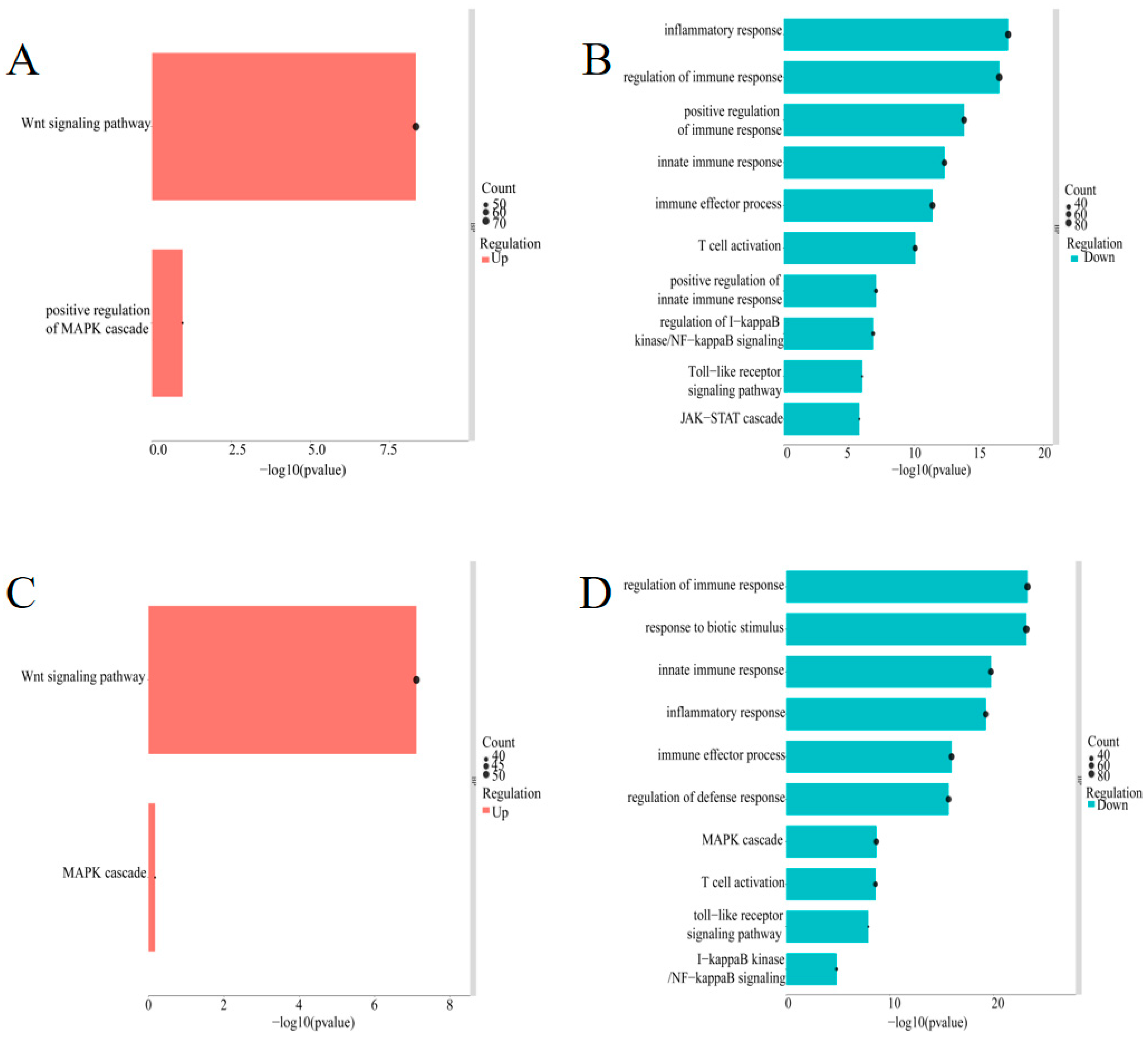Animals 13 02720 g004