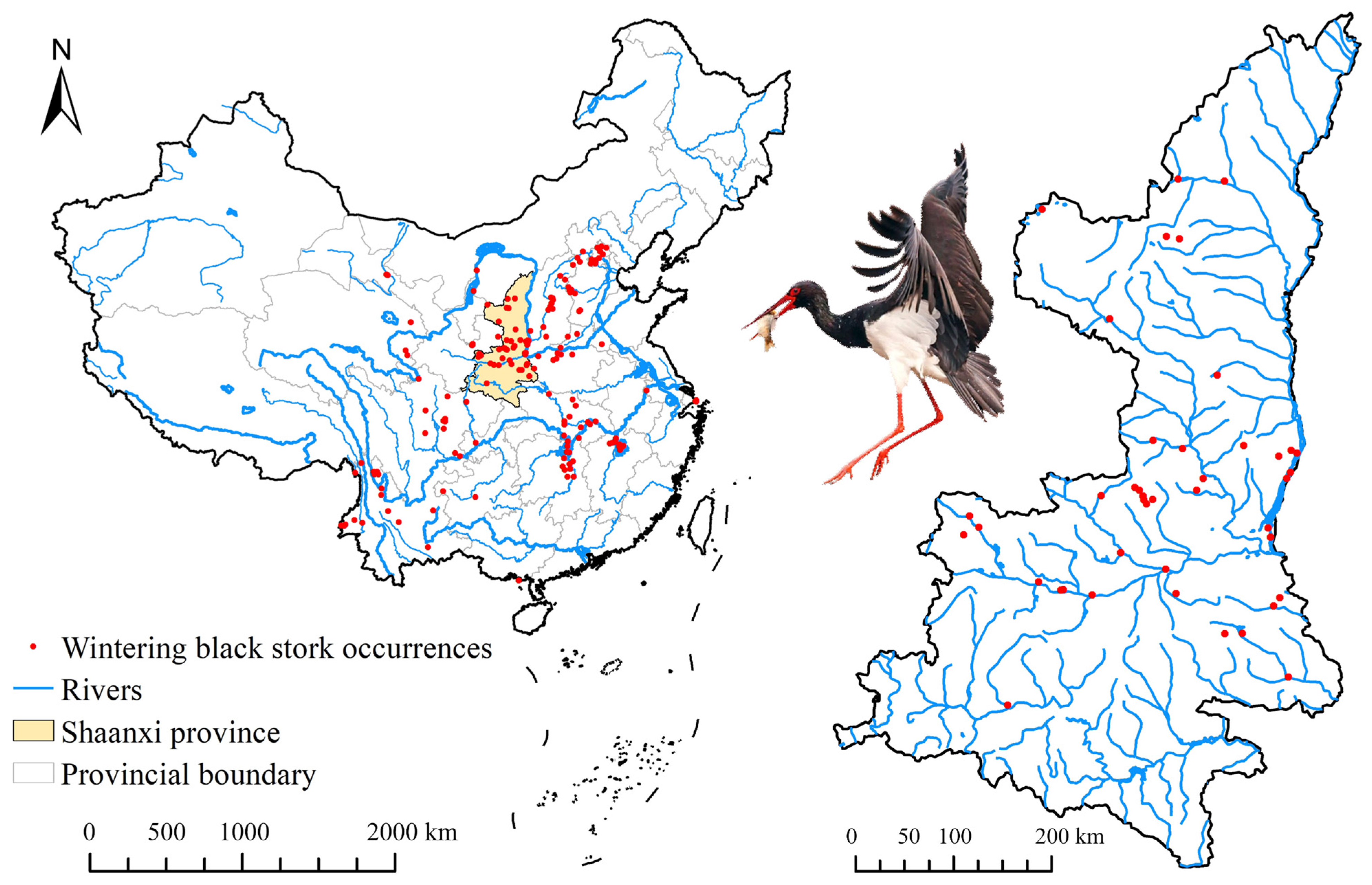 Animals 13 02726 g002