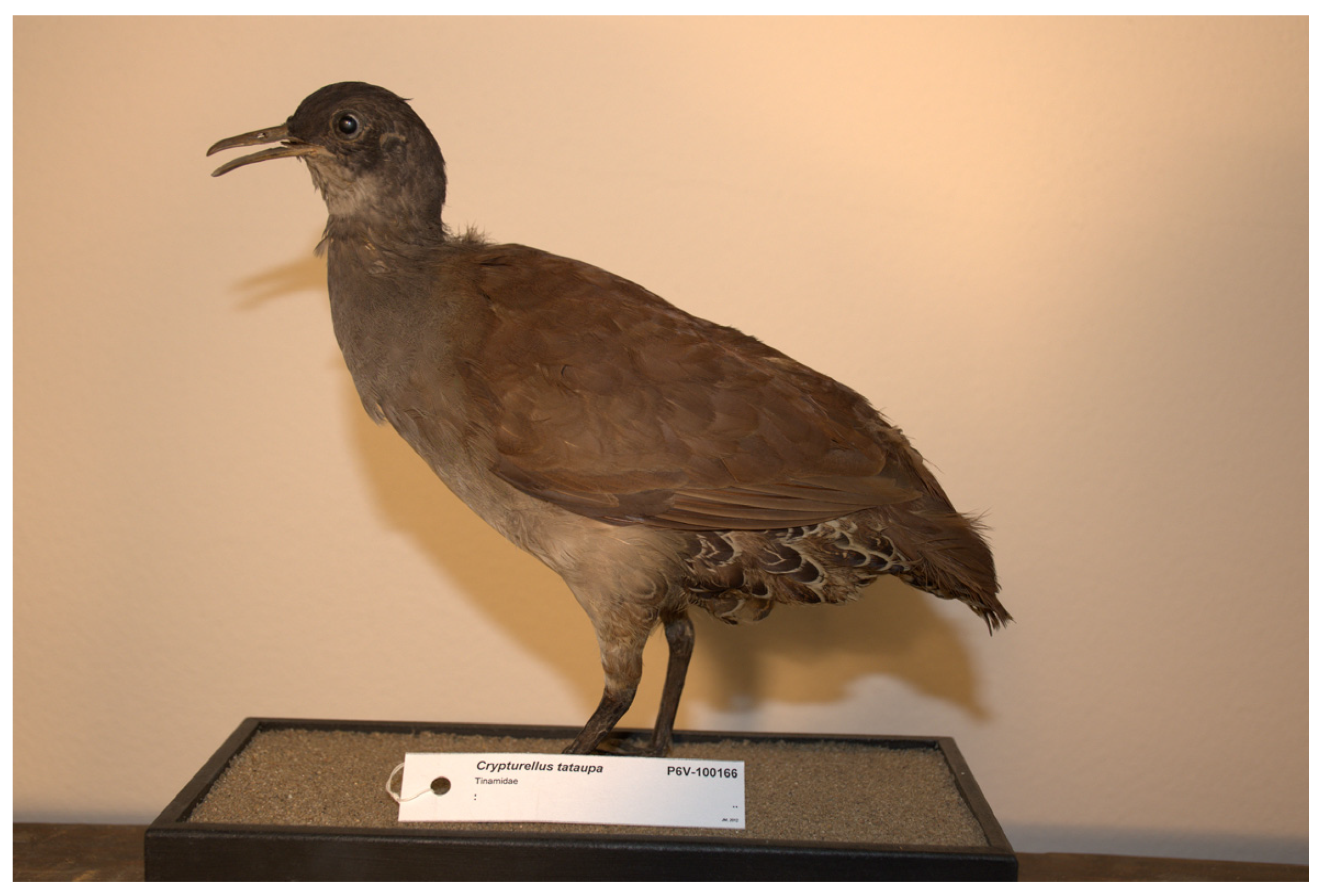 Animals 13 02728 g001